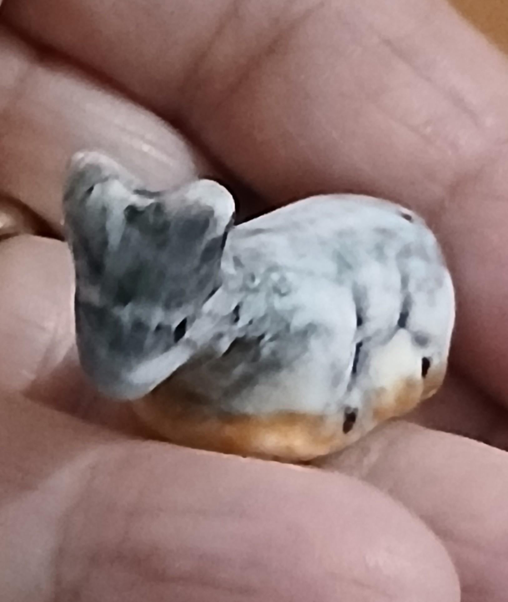 troc de troc une fève image 1