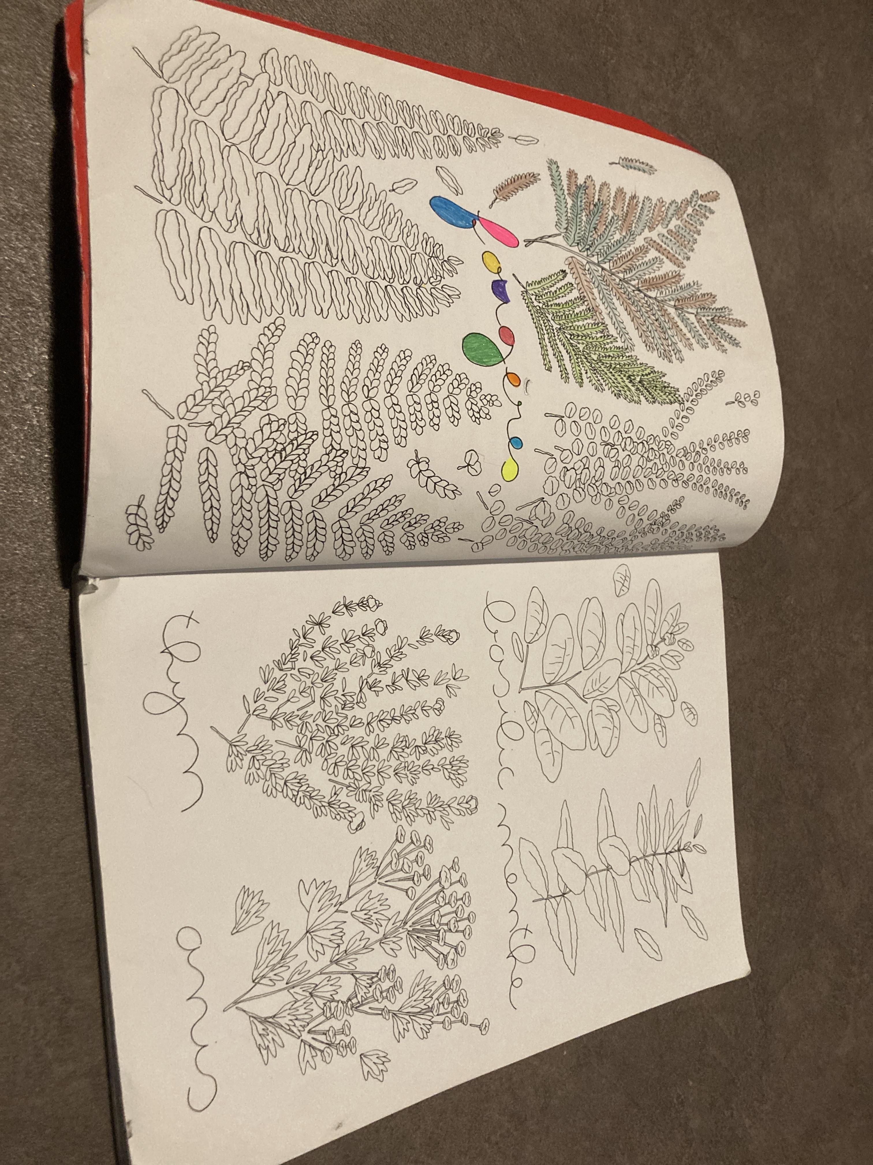 troc de troc livre de coloriage image 1