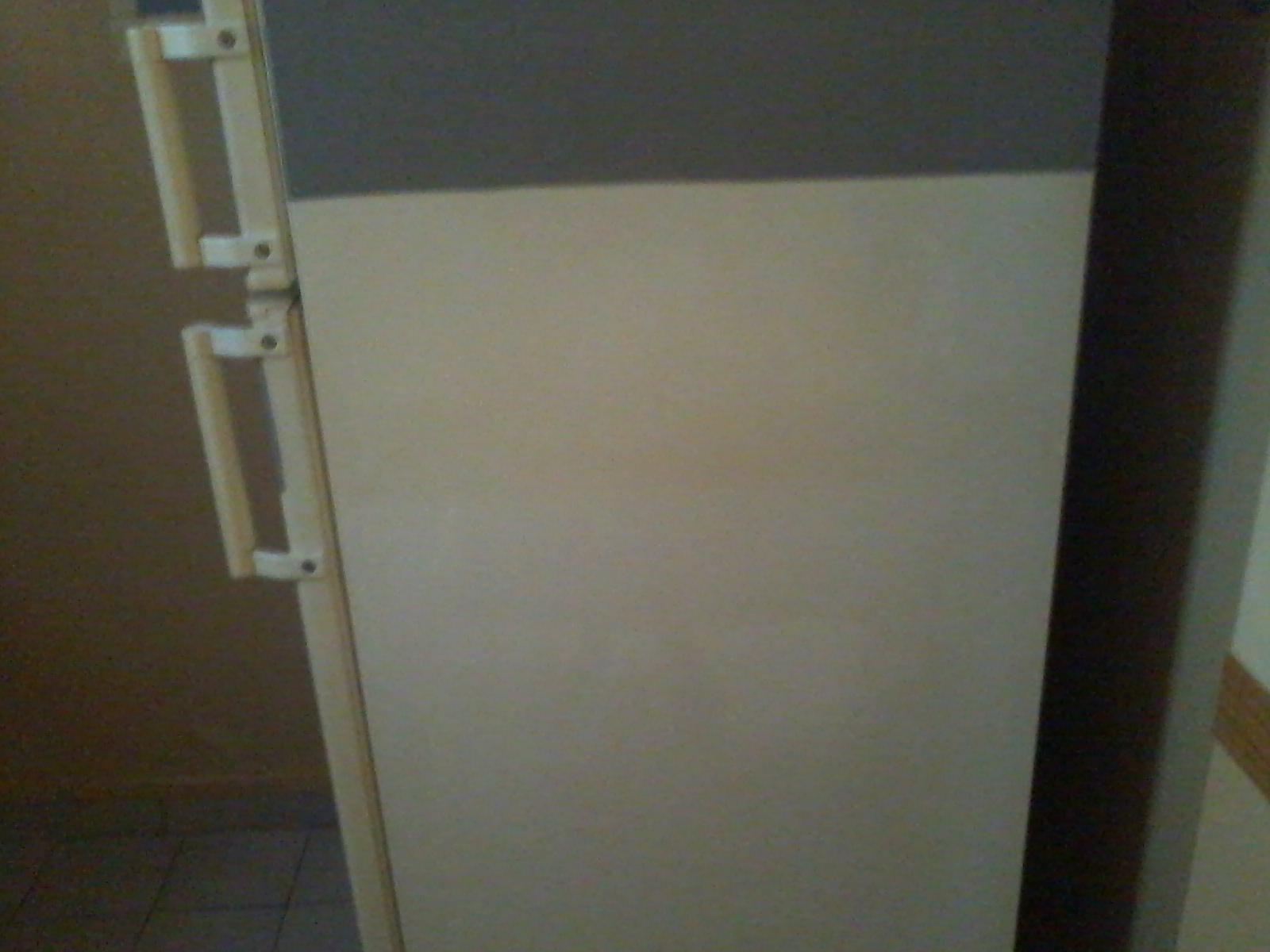 troc de troc echange mon grand frigo.voir annonce image 2