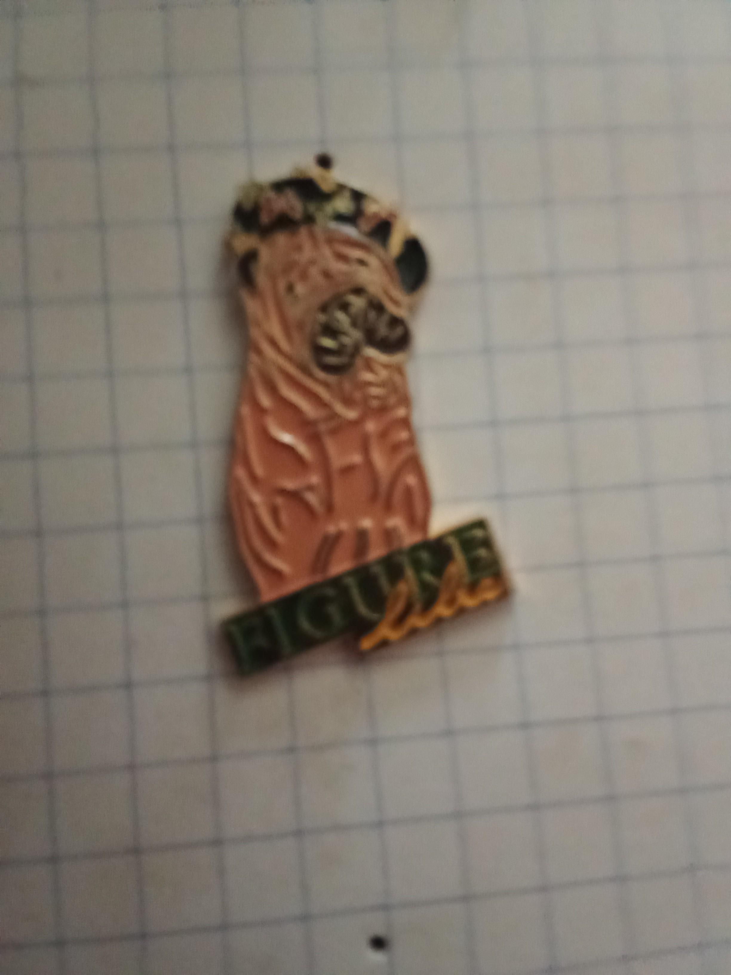 troc de troc pin's avec attache image 0