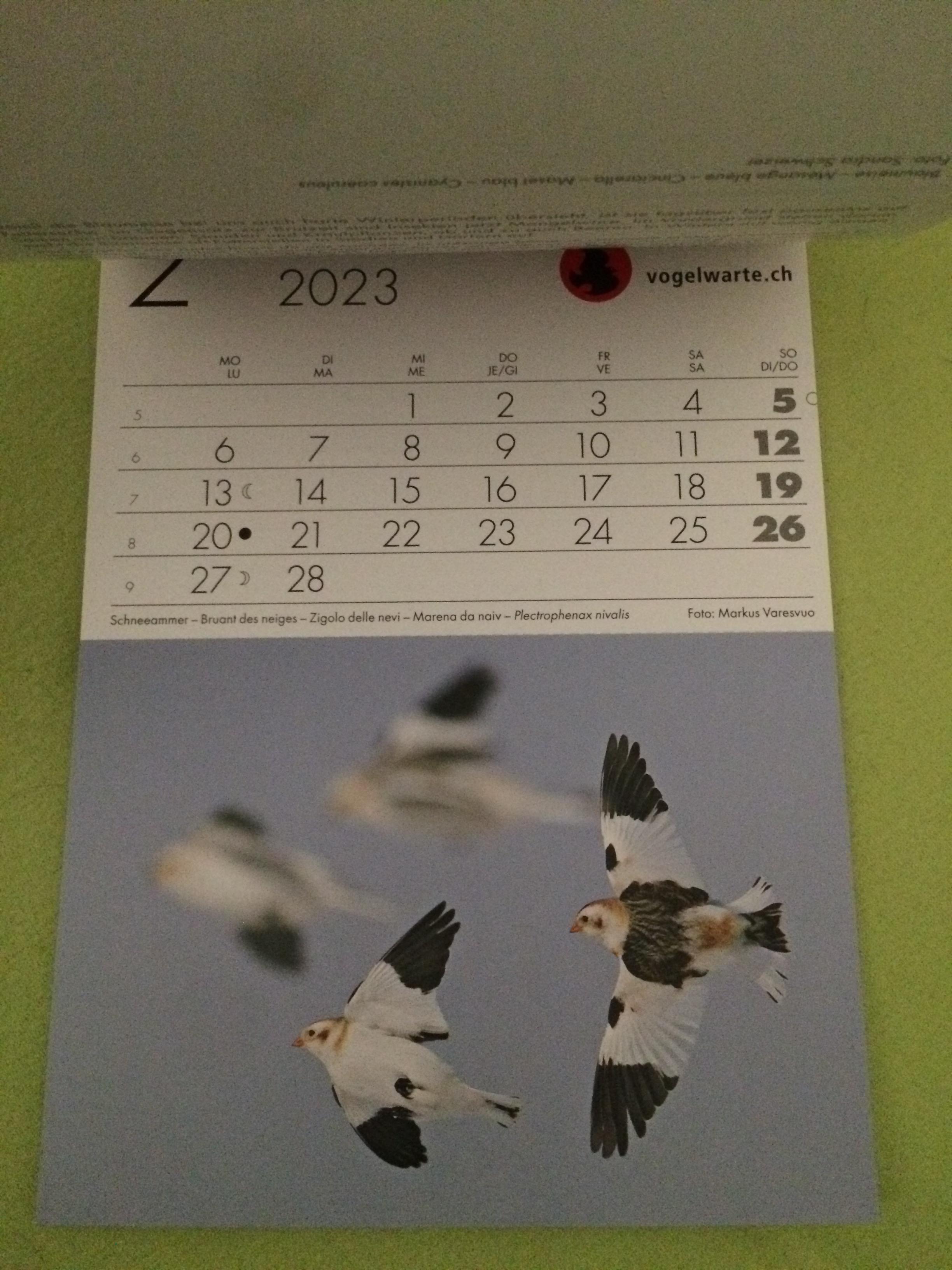 troc de troc calendrier d'oiseaux 2023 image 1