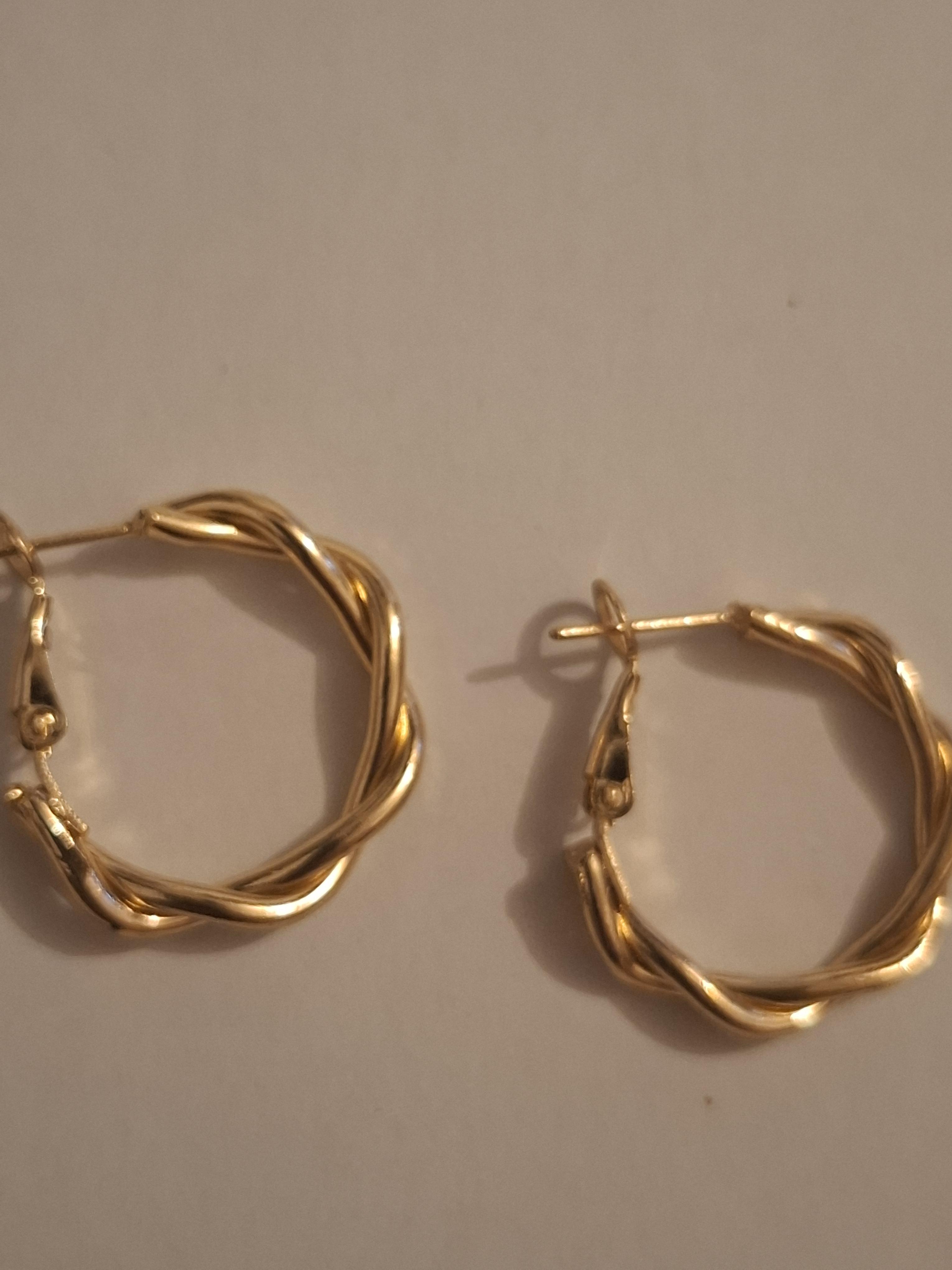 troc de troc boucles d'oreilles image 0