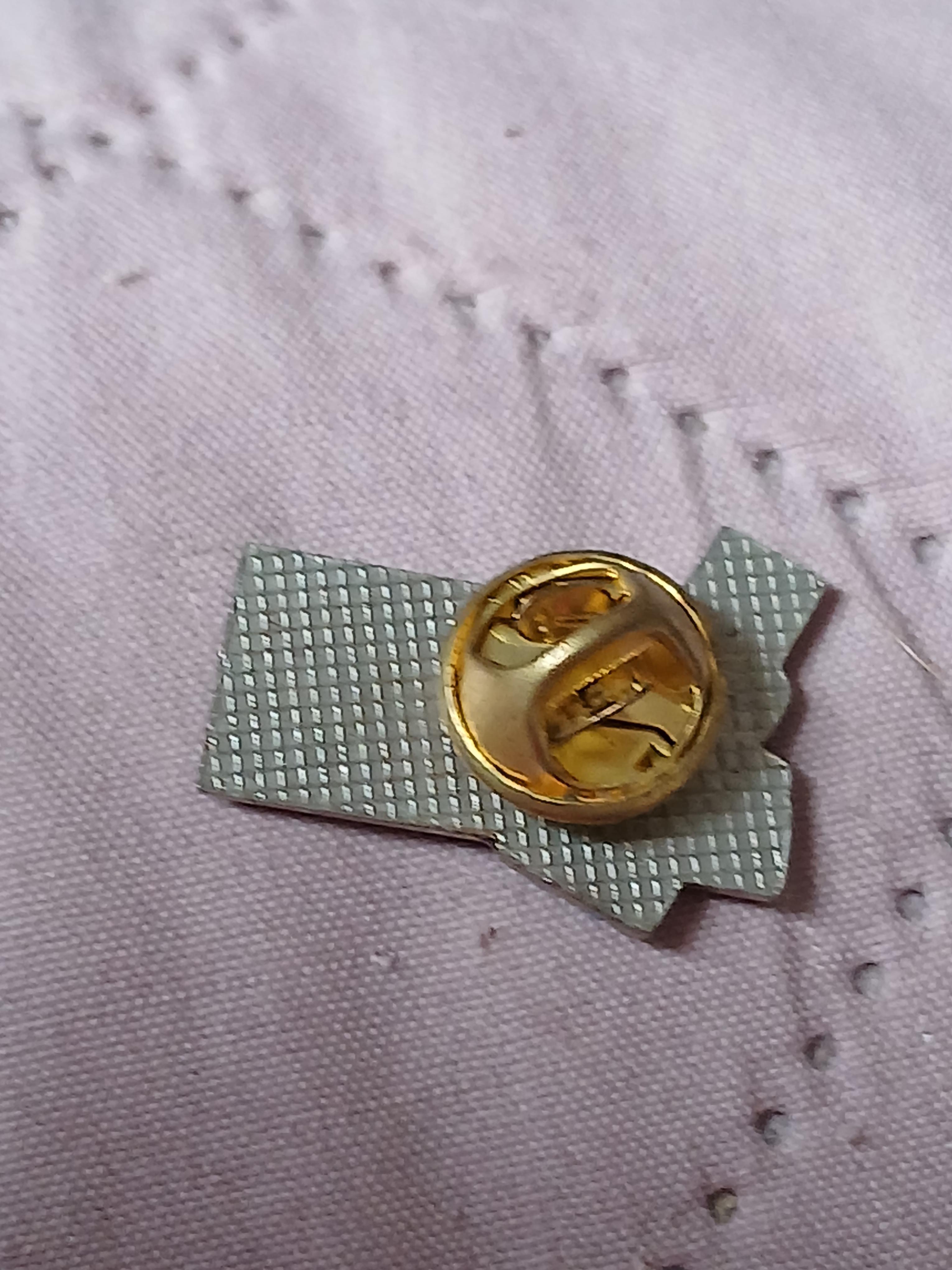 troc de troc pins image 2
