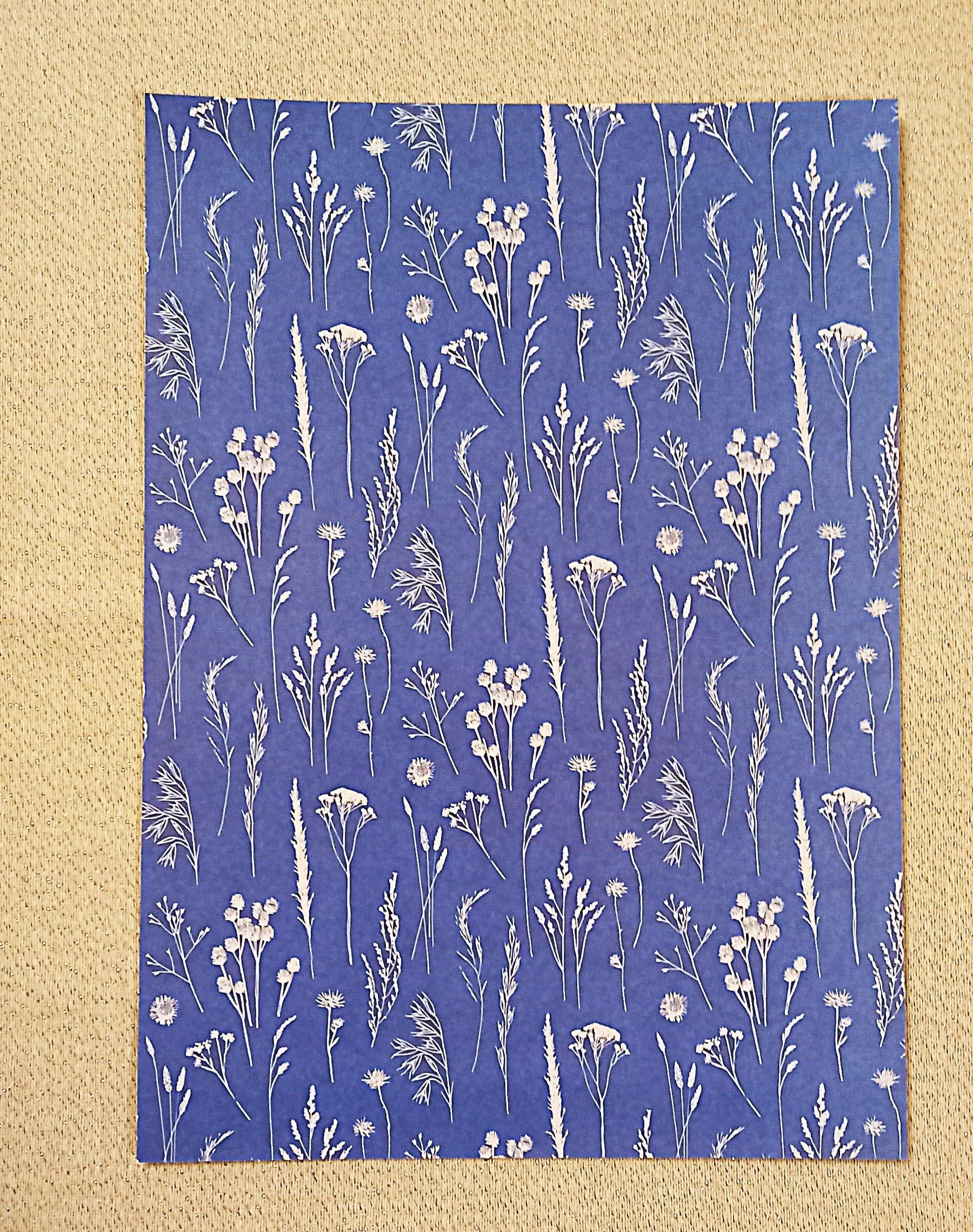 troc de troc papier créatif "nature". image 0