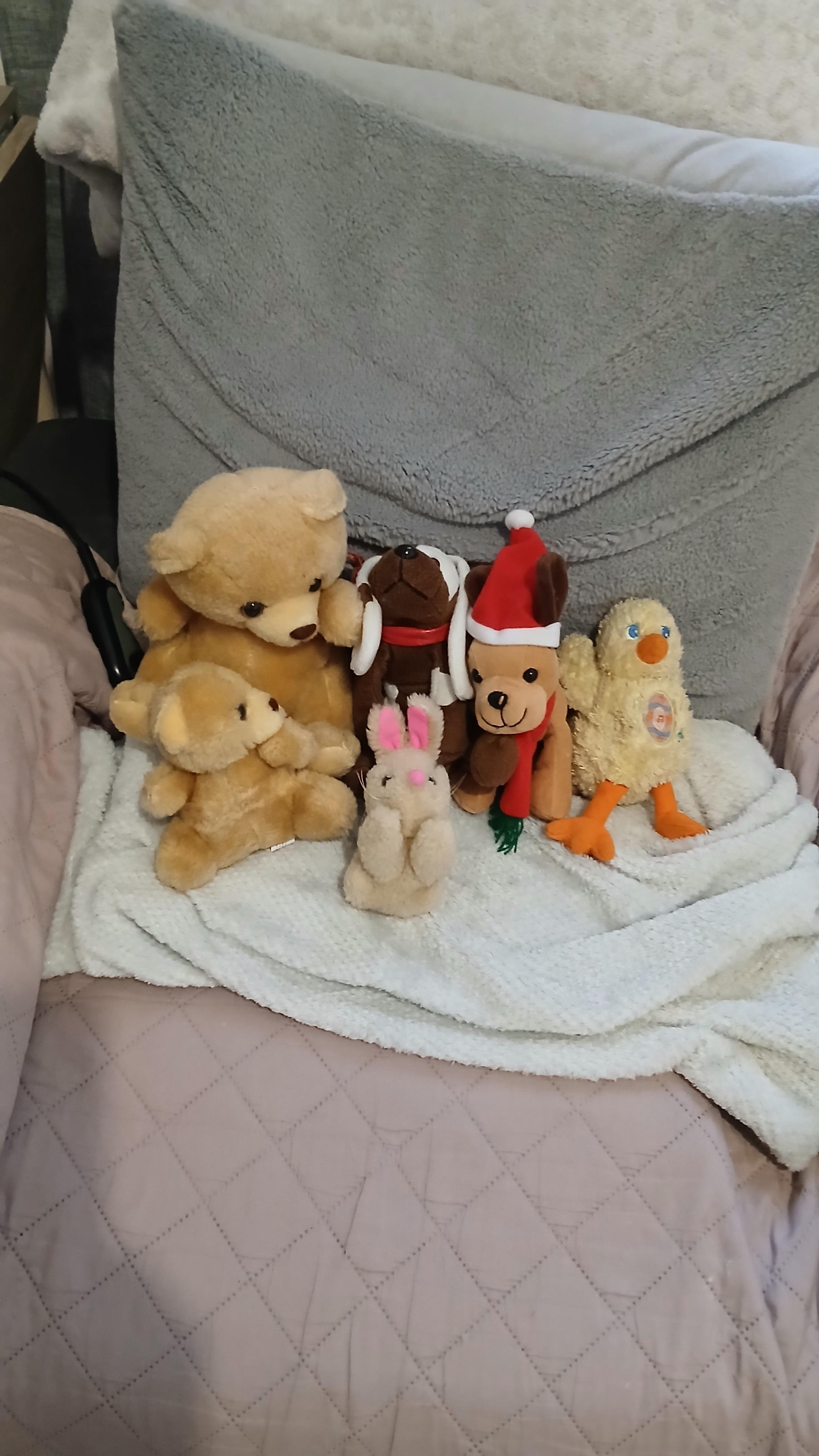 troc de troc lots de peluches image 0