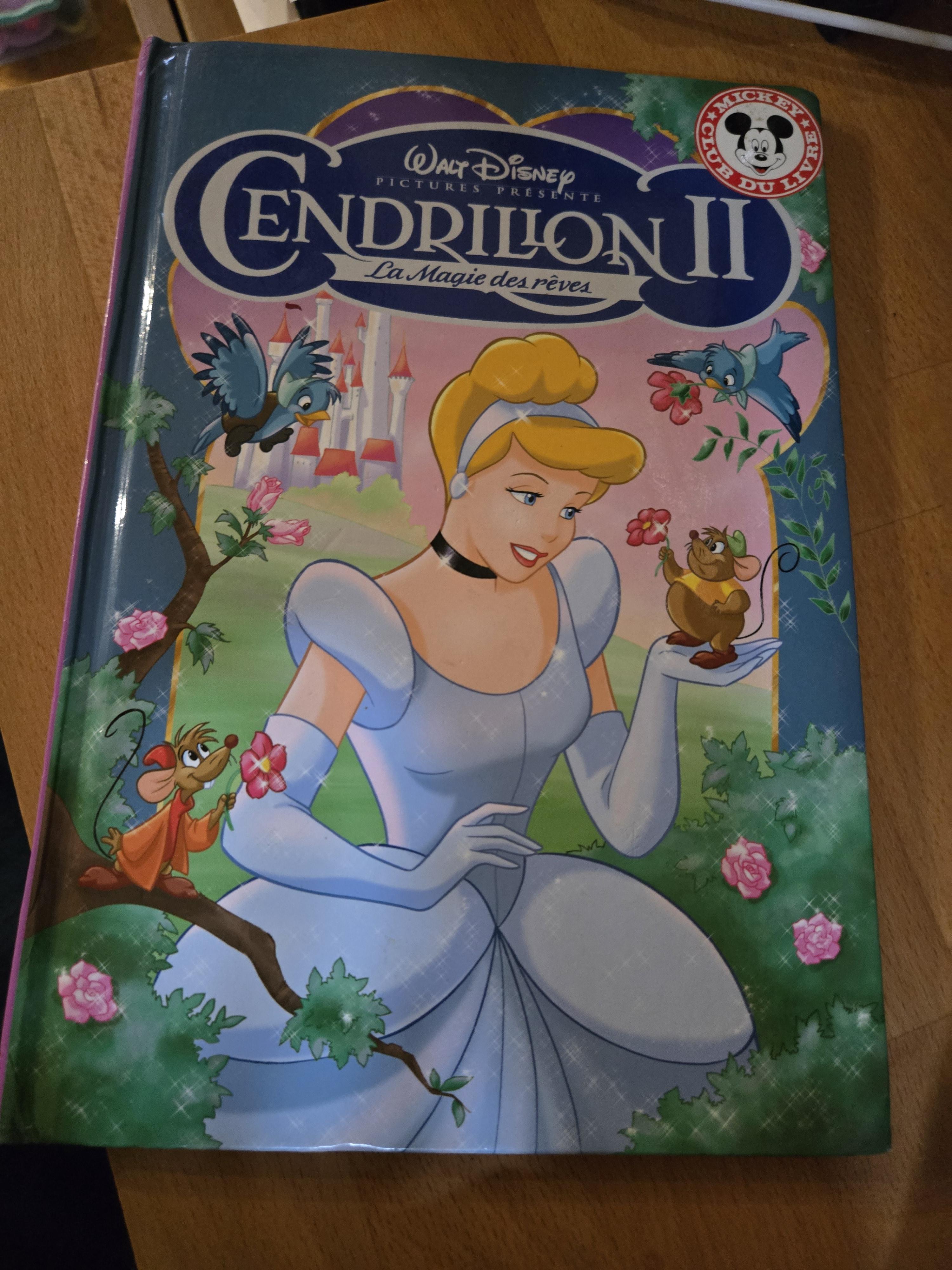 troc de troc cendrillon ii image 0