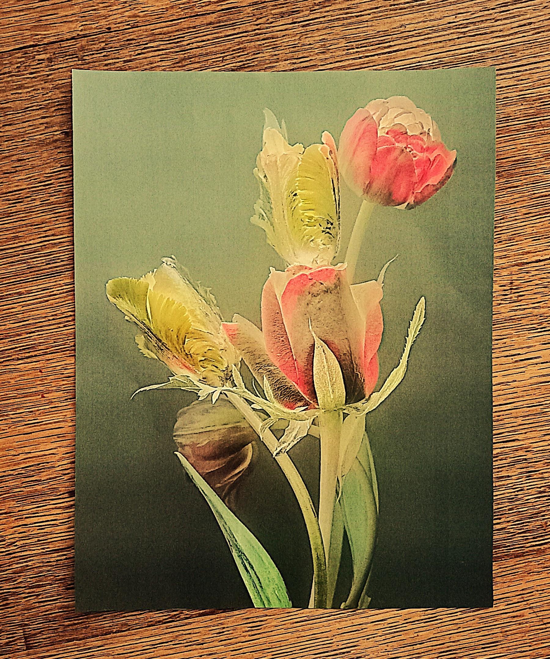 troc de troc affiche "les fleurs roses". image 0