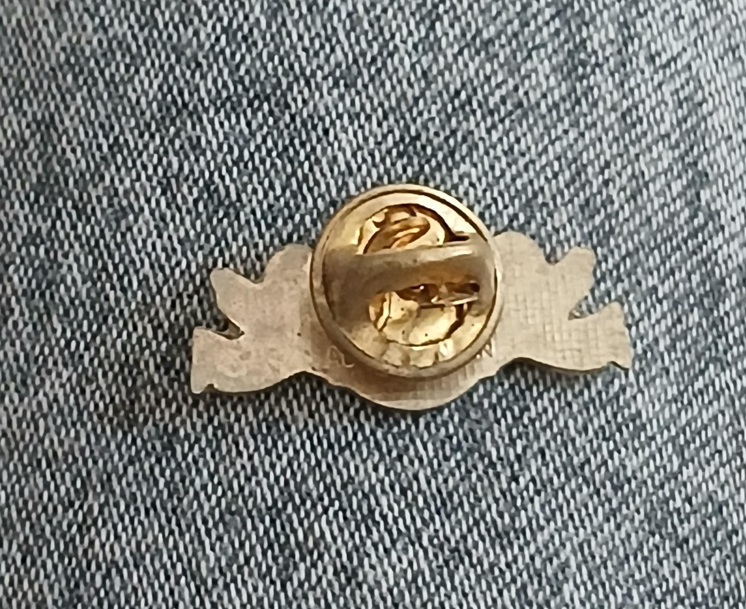 troc de troc un pins image 2
