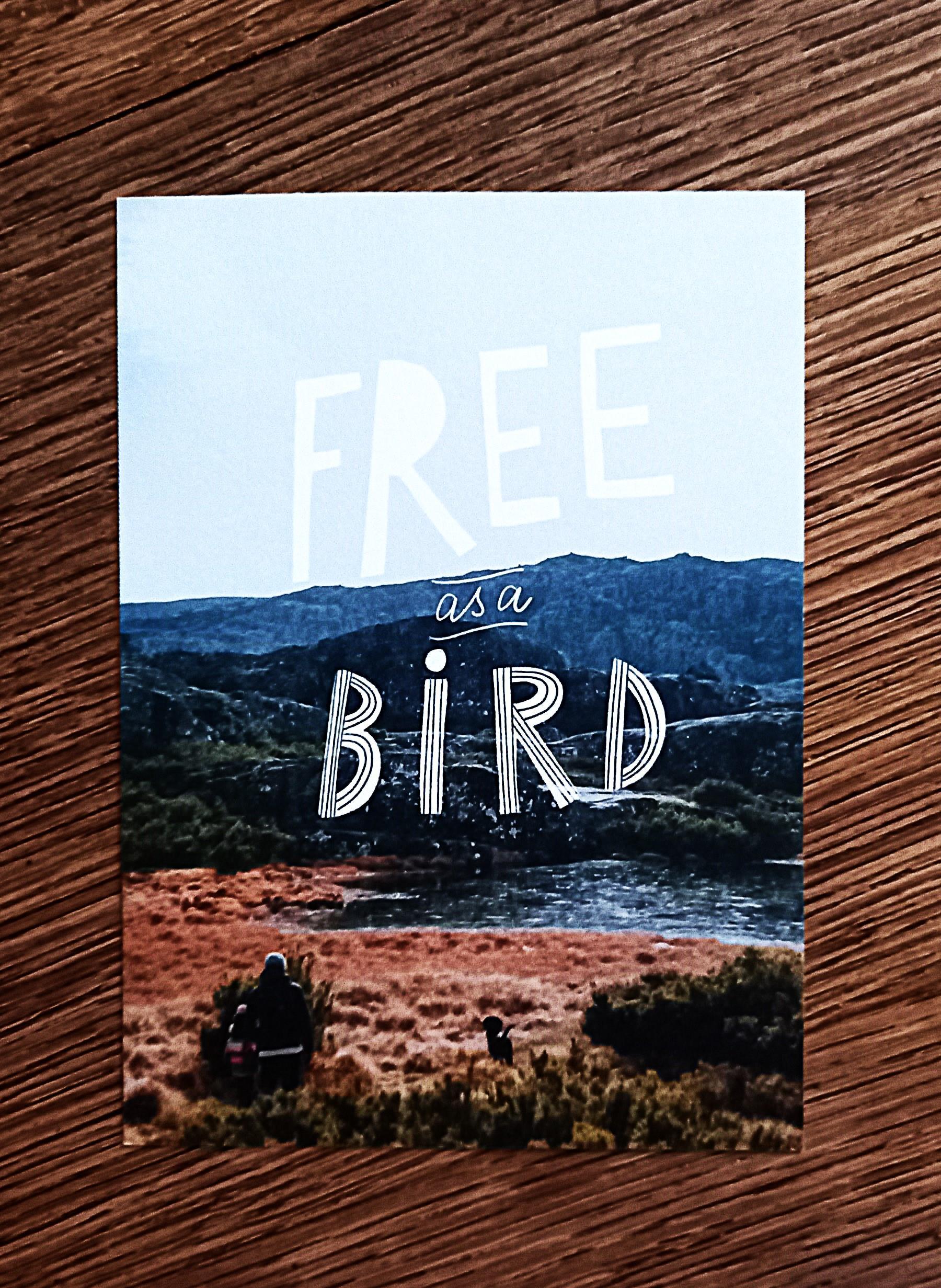 troc de troc carte "free as a bird". image 0