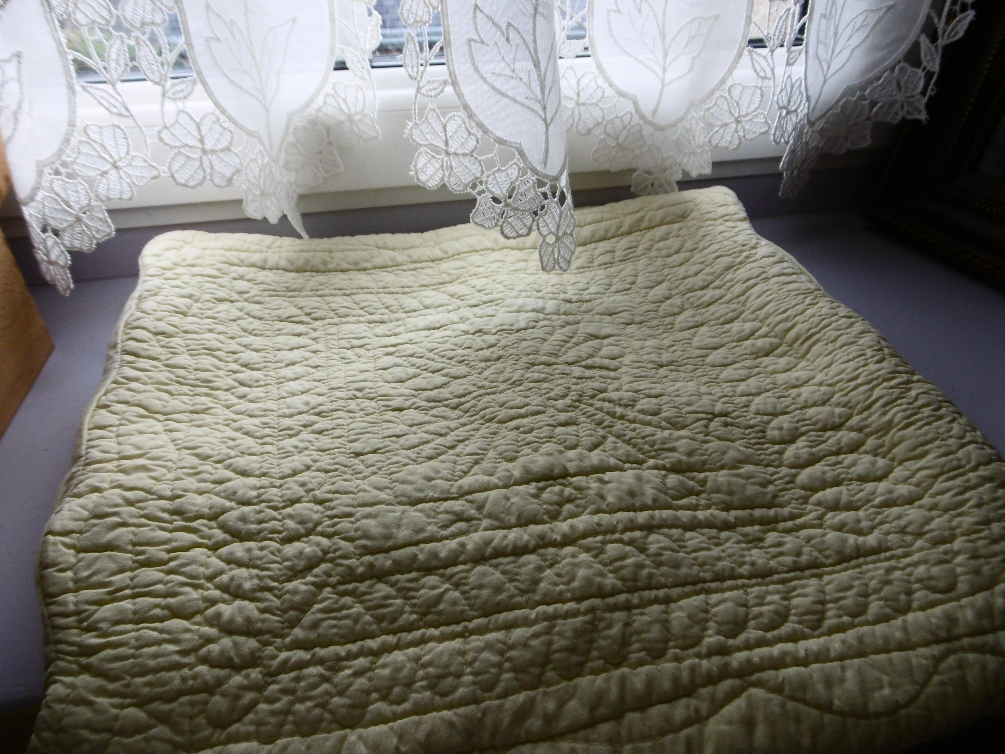 troc de troc housses de coussin vert anis image 0