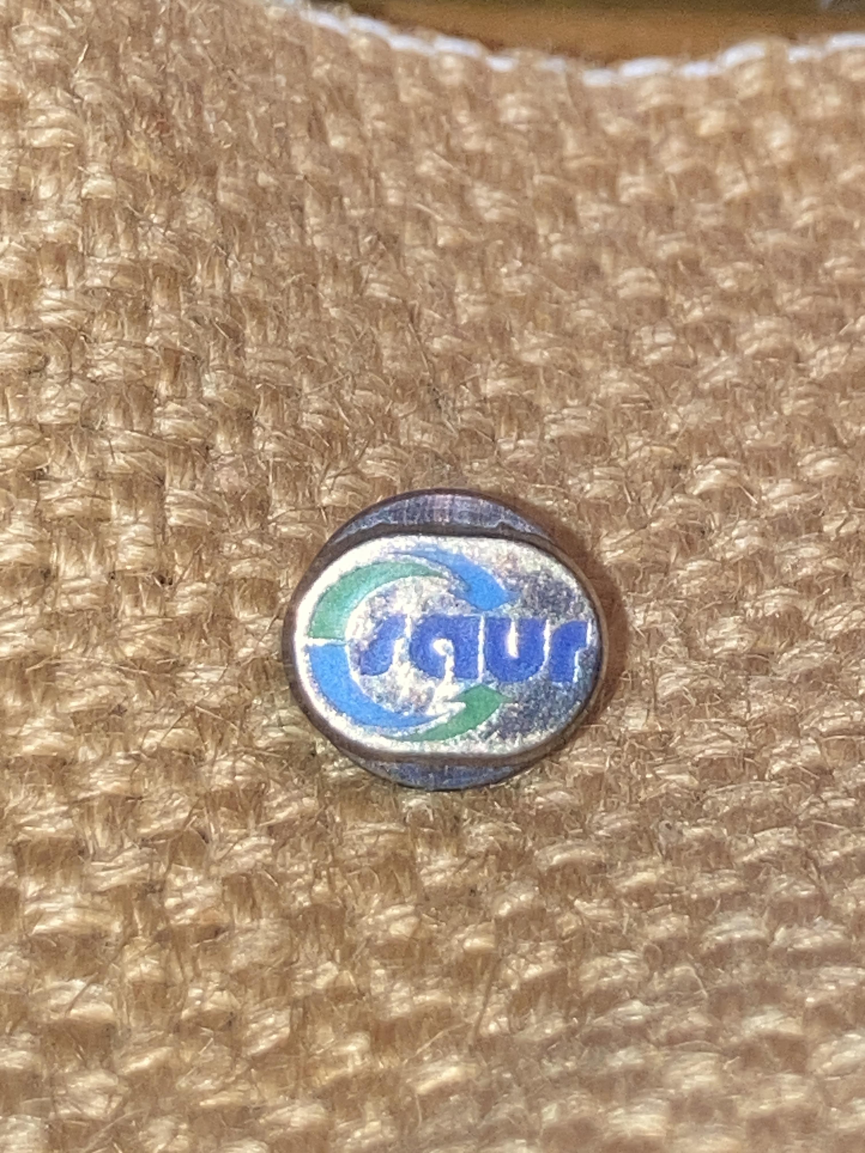 troc de troc pin’s saur image 0