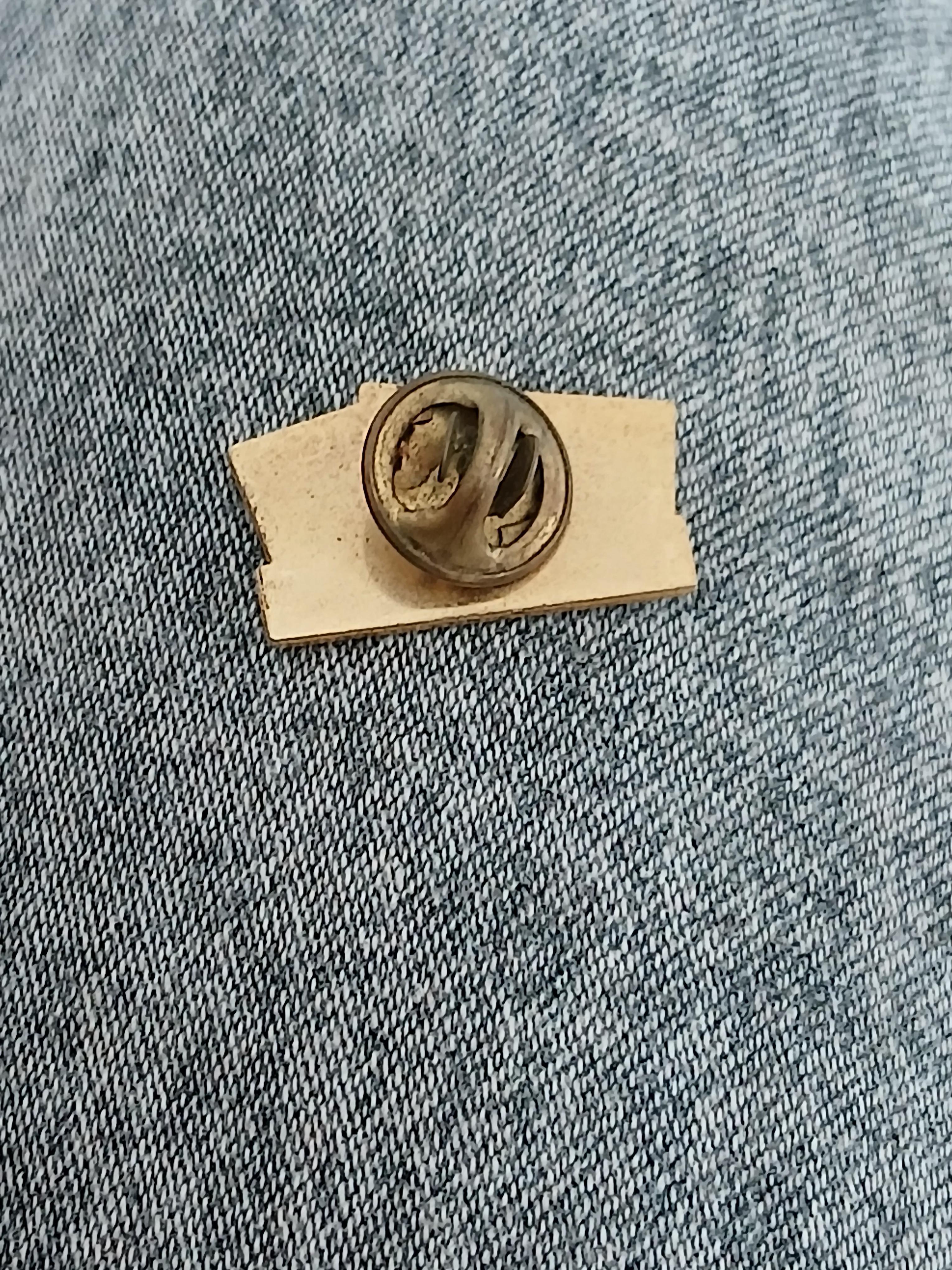 troc de troc un pins image 2