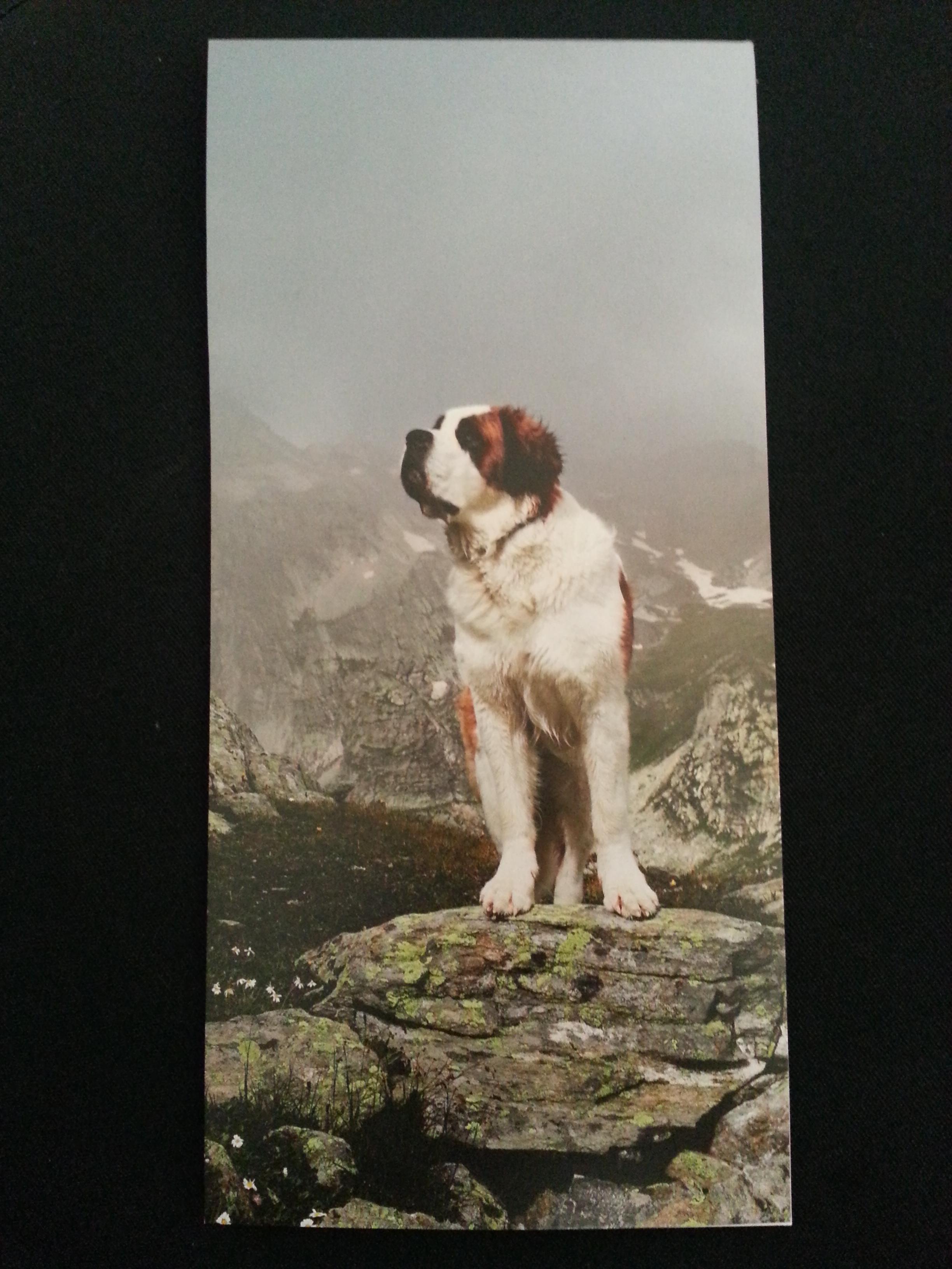 troc de troc carnet de notes saint bernard image 0