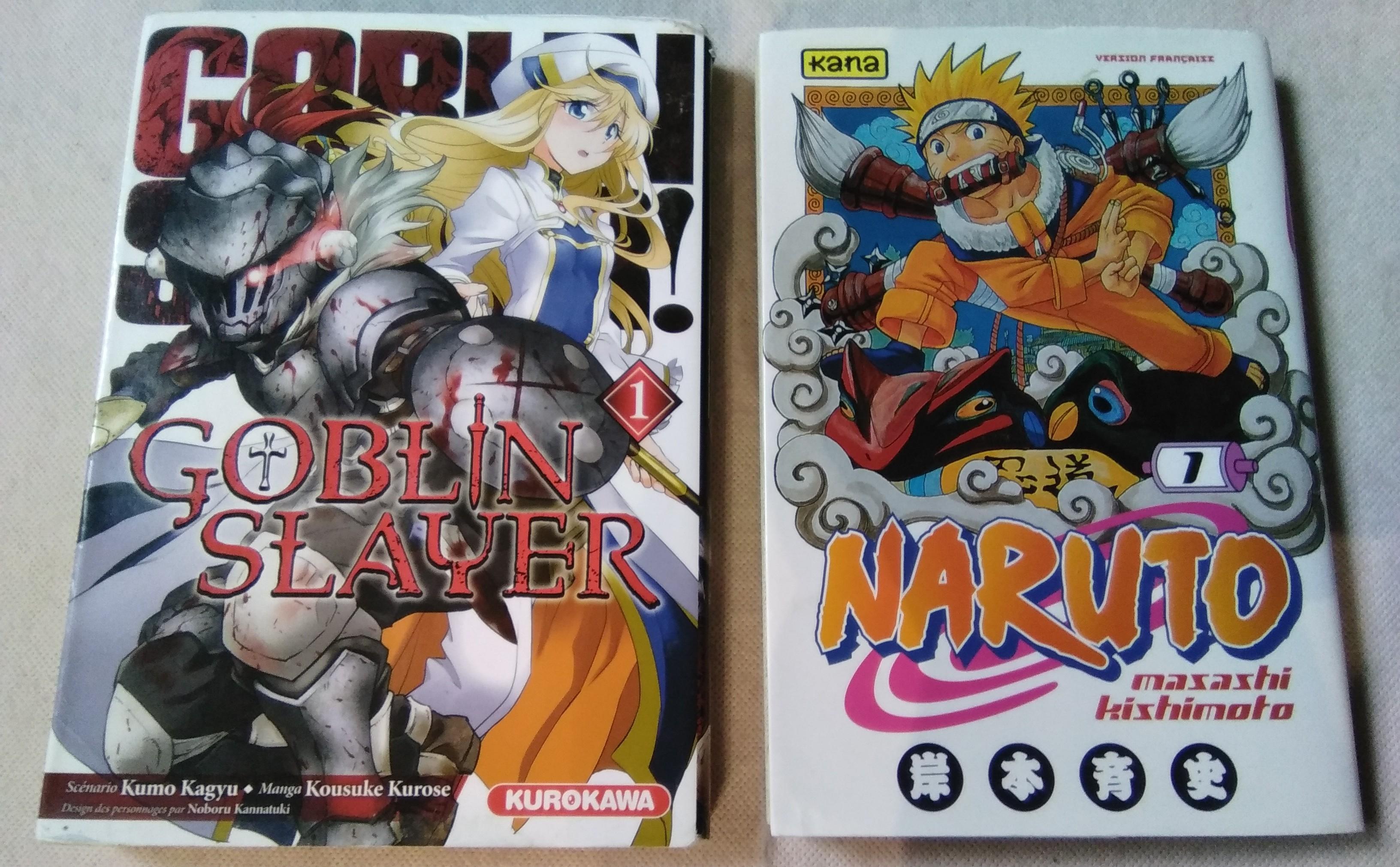 troc de troc lot 2 livres/manga, enfant, très bon état image 0