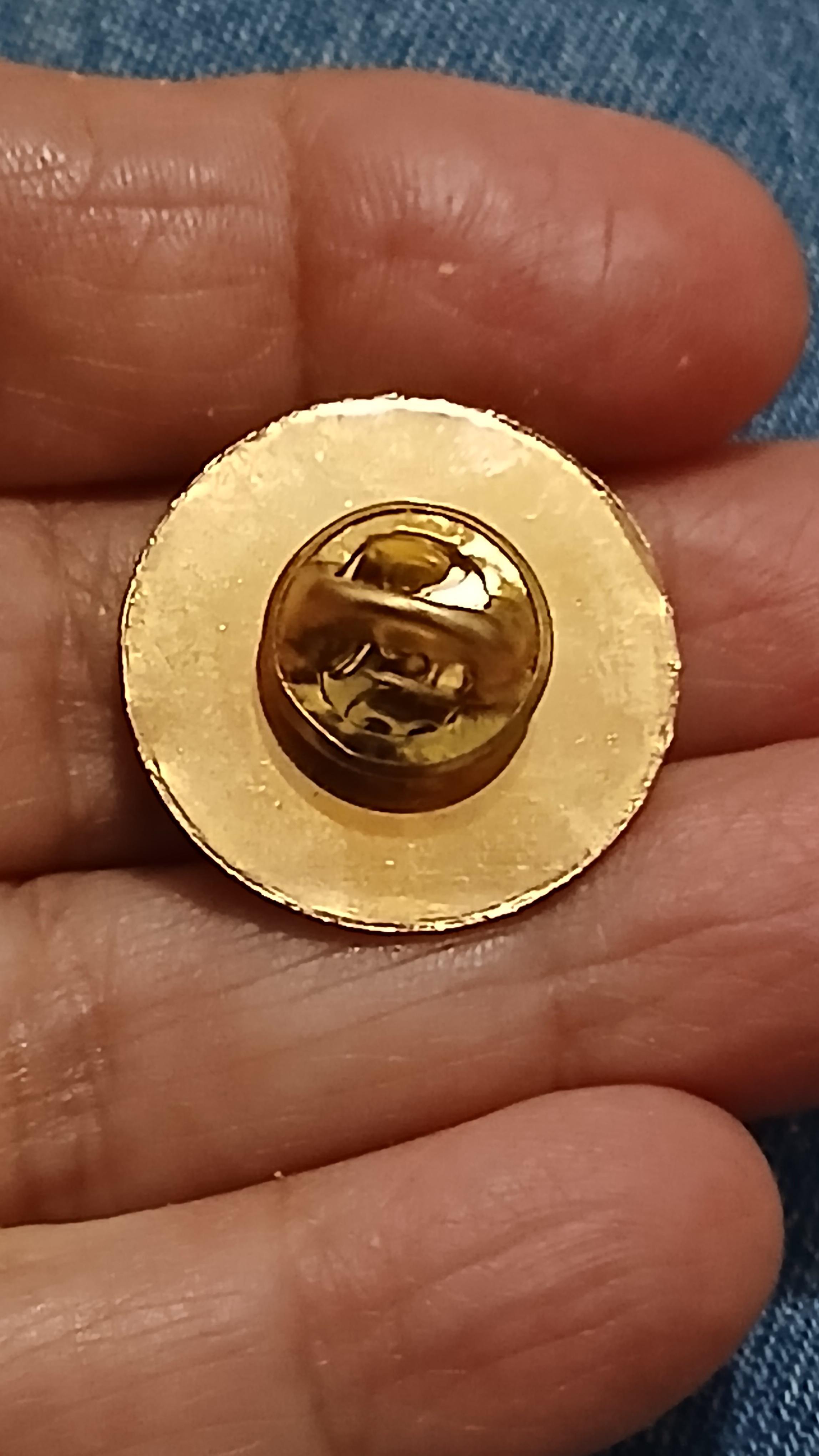 troc de troc un pins image 1