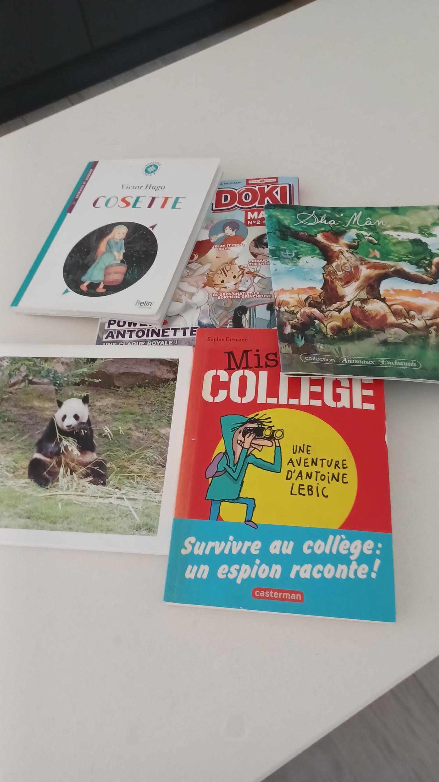 troc de troc livres divers, en lot ou séparés image 0
