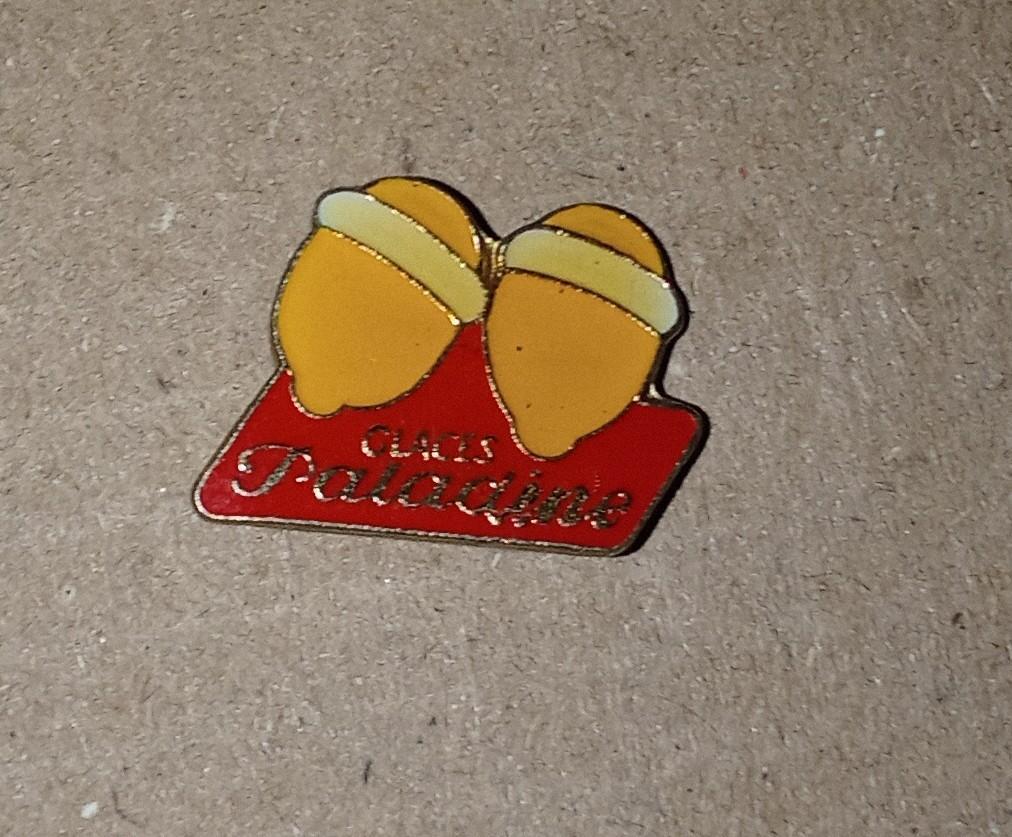 troc de troc pin's avec attache image 0