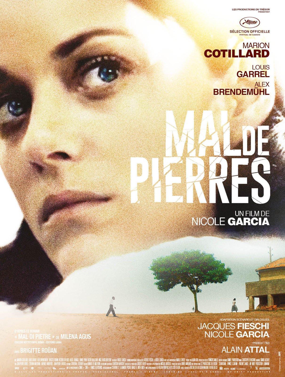 troc de troc bluray mal de pierres image 0