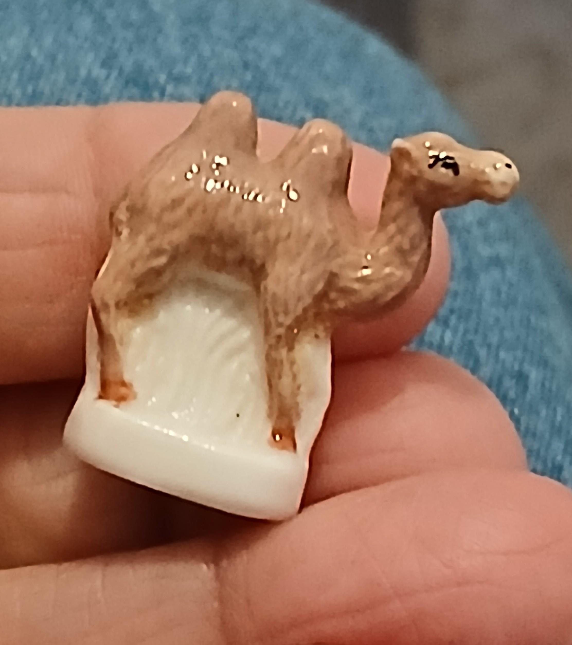 troc de troc reserver sissi. une fève image 0