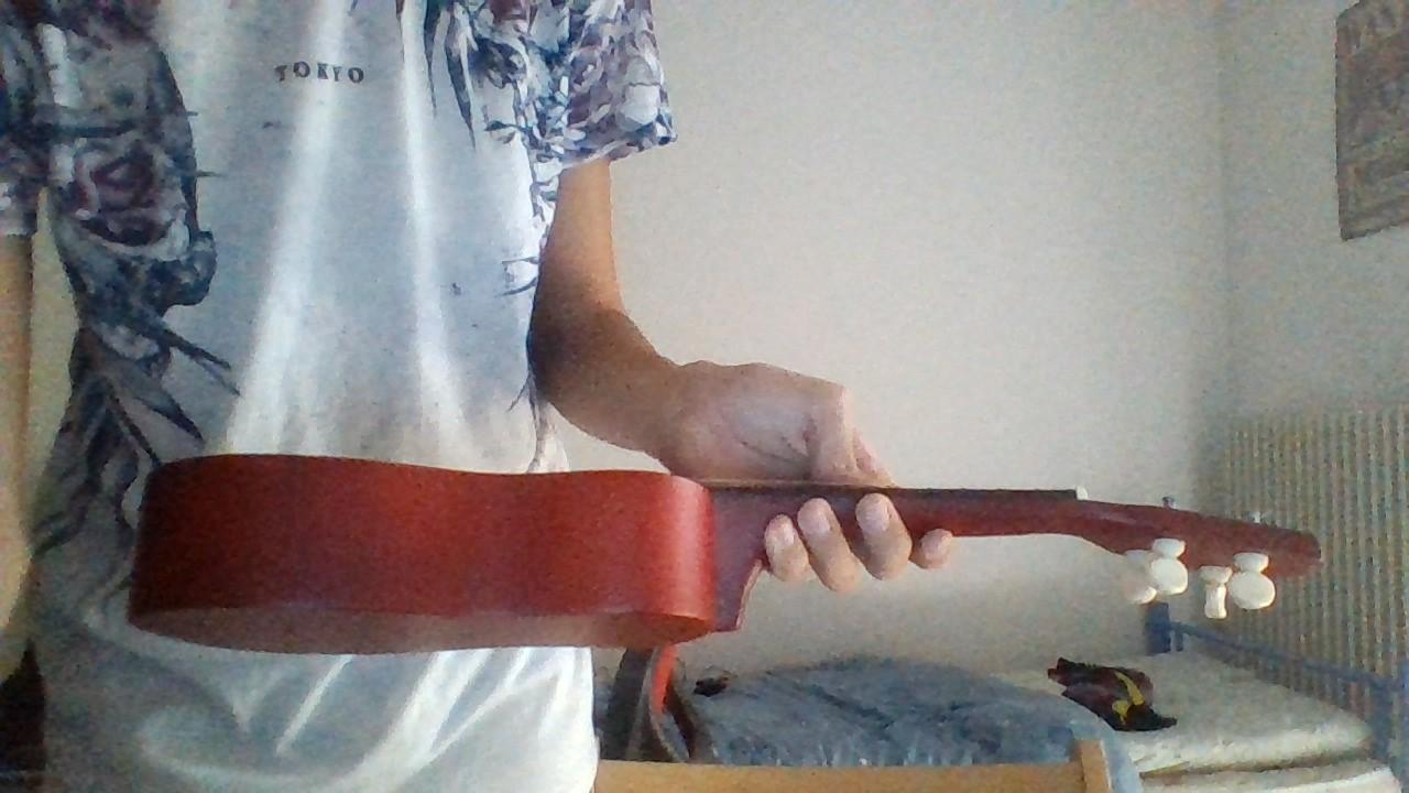 troc de troc ukulele image 1