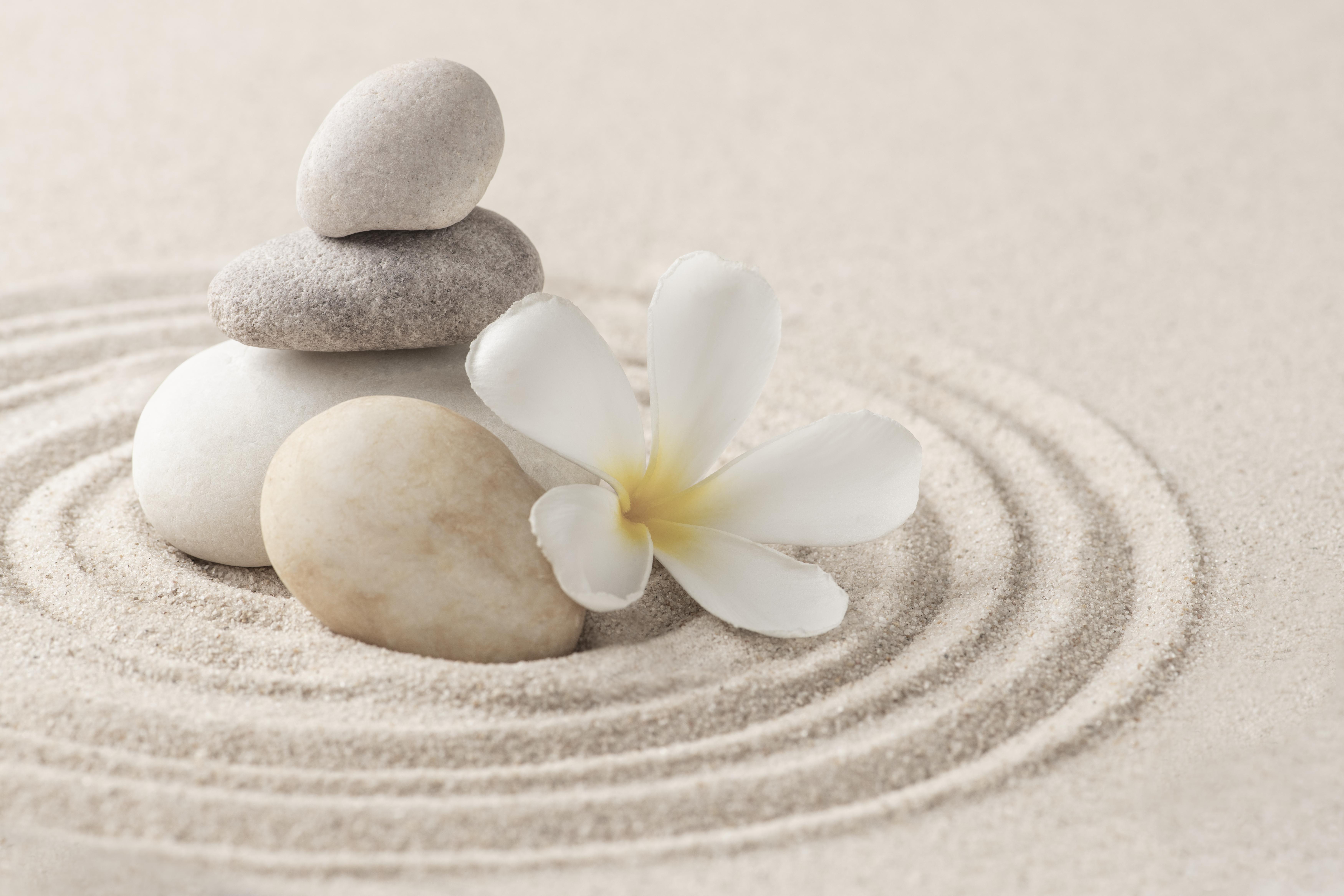 troc de troc atelier bien être pour les femmes 2 jours  contre 1 salle image 0