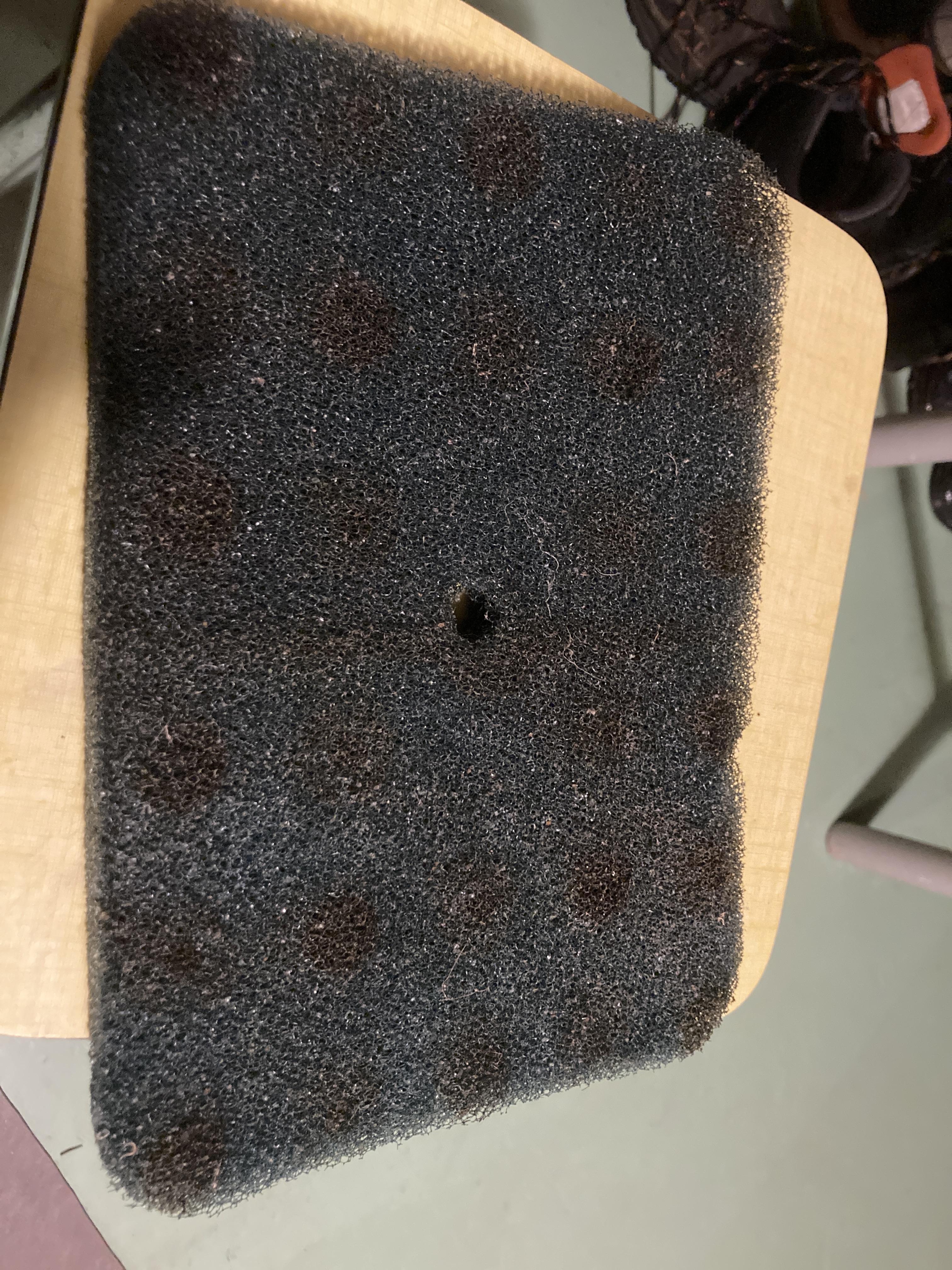 troc de troc cherche mousse pour pompe-filtre de bassin image 0