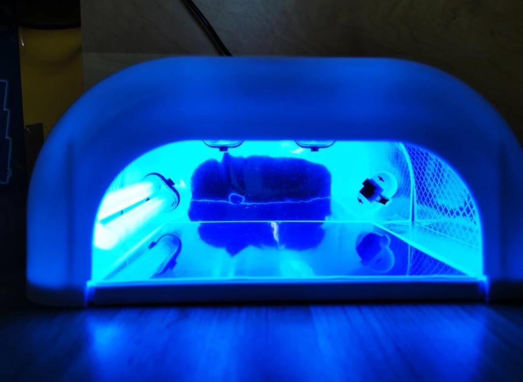 troc de troc lampe uv pour manucure semi-permanente. image 1