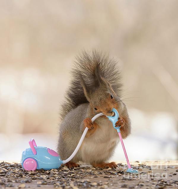 troc de troc pièces pour aspirateur dyson v7 image 0