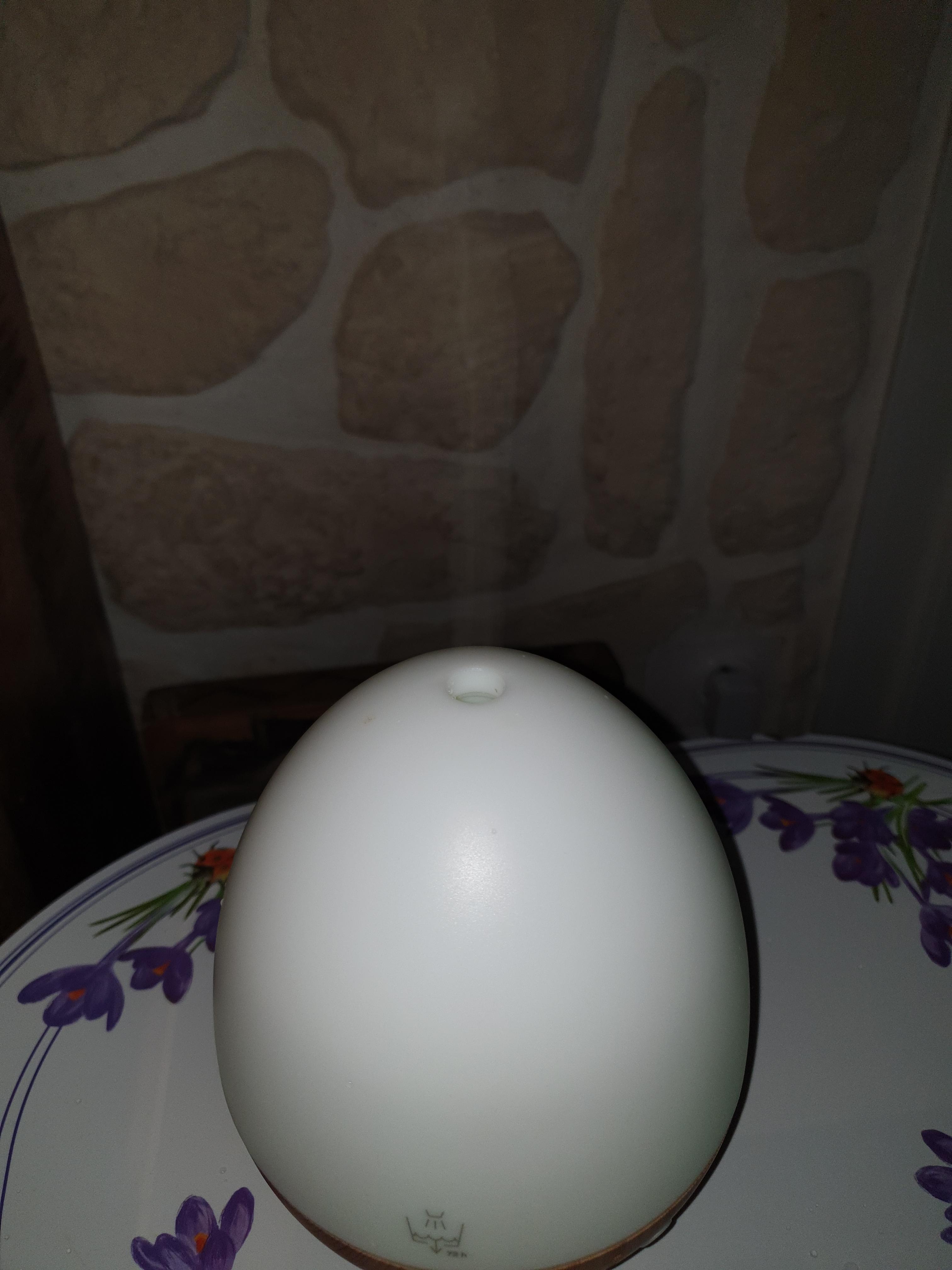 troc de troc diffuseur / brumisateur image 2