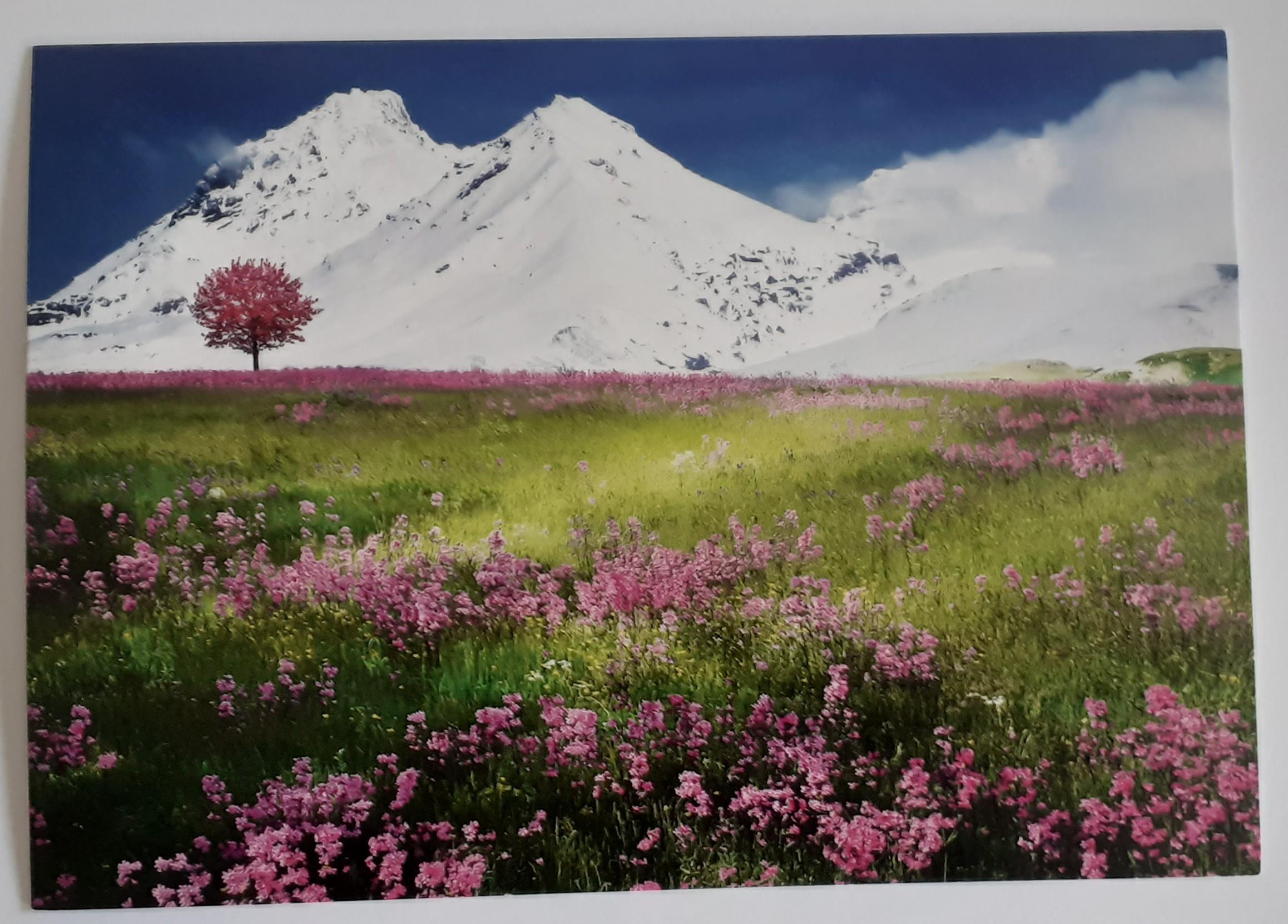 troc de troc cartes postales paysages image 0