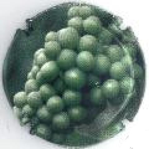 troc de troc capsule champagne générique 710 f image 0