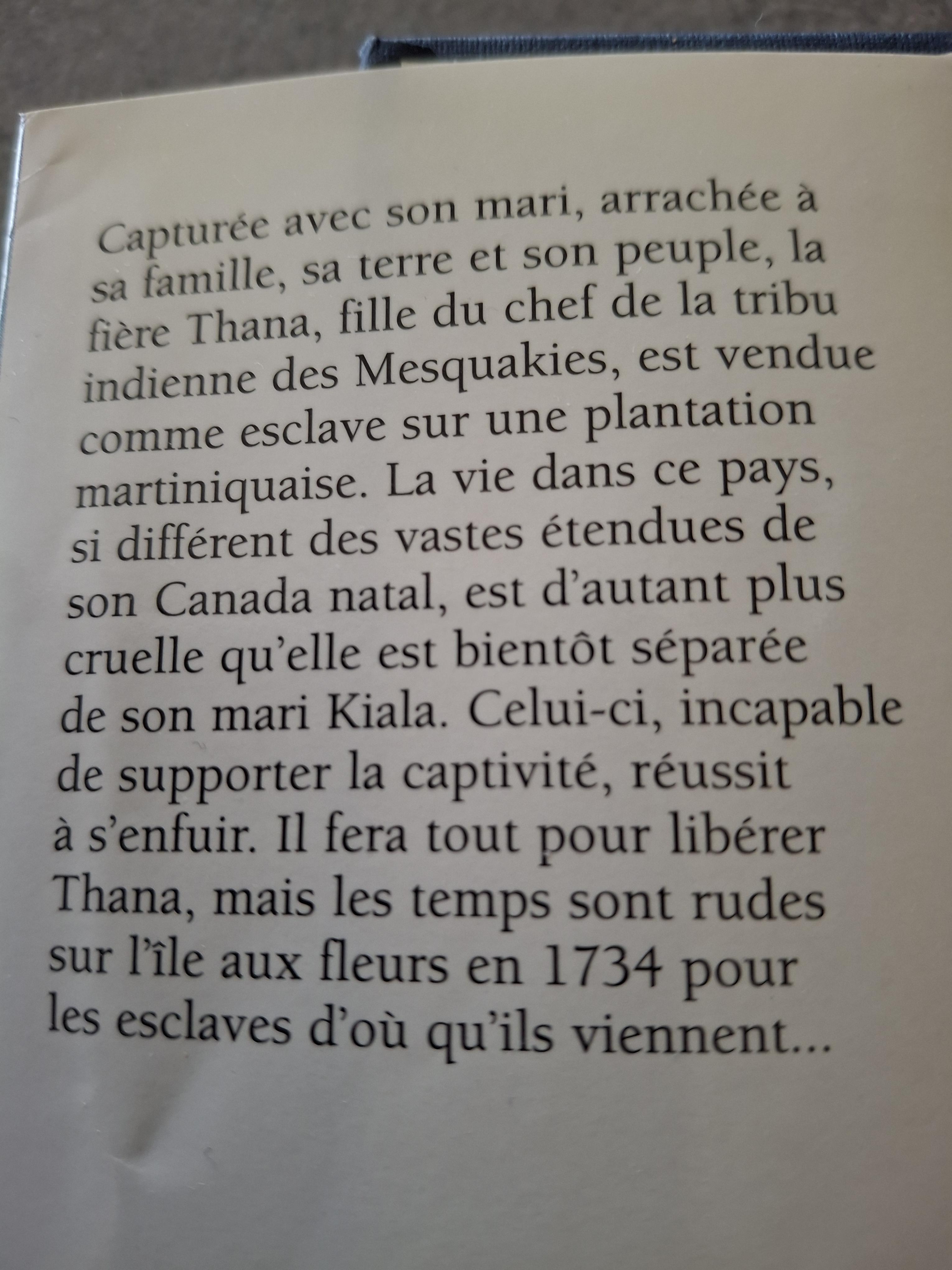 troc de troc roman image 1