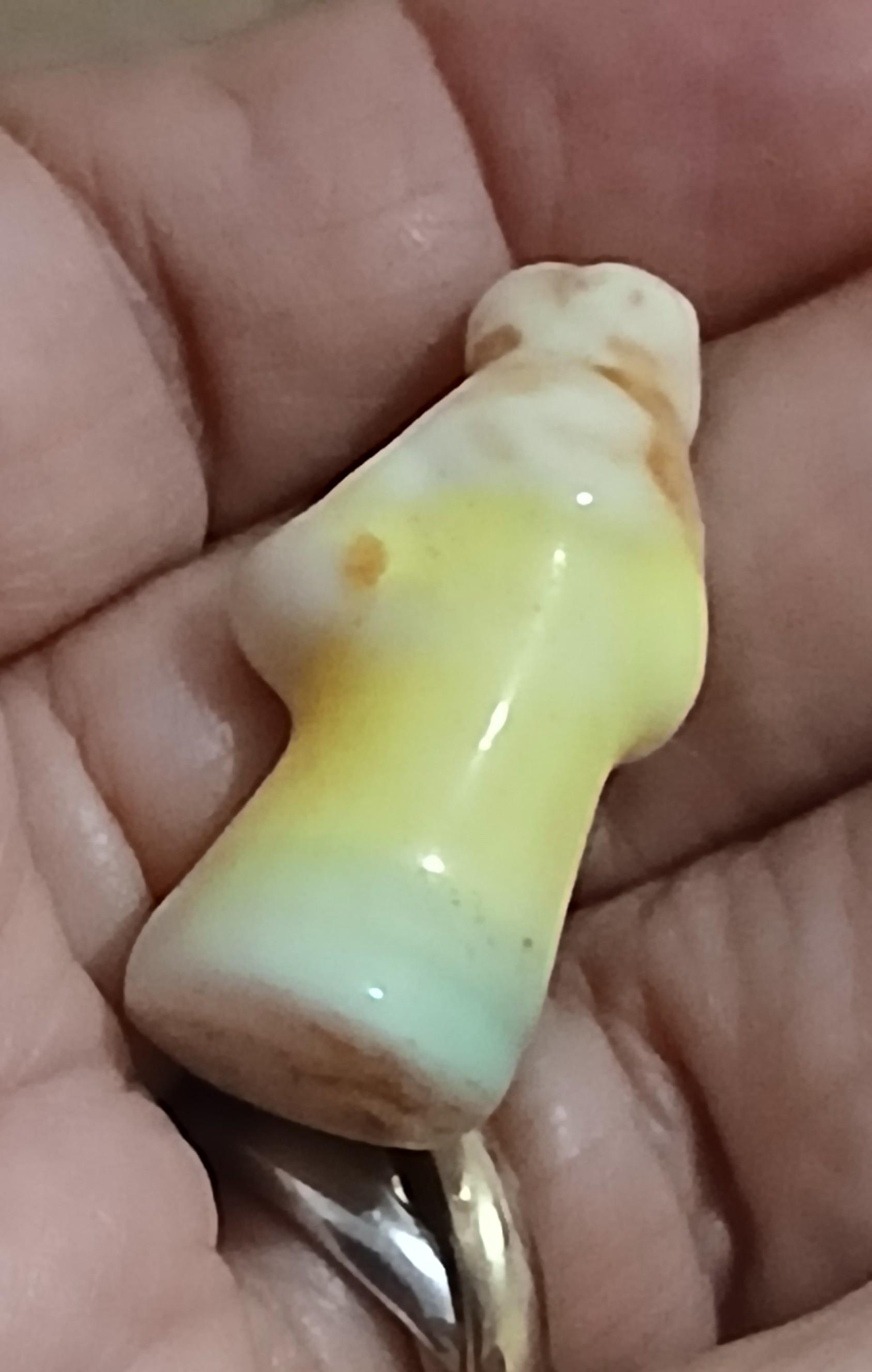 troc de troc une fève image 1