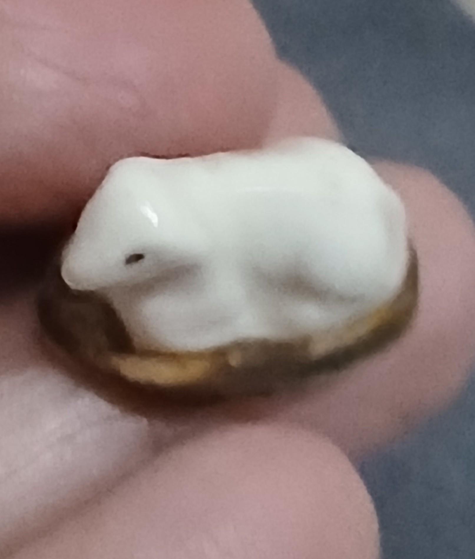 troc de troc une fève image 0