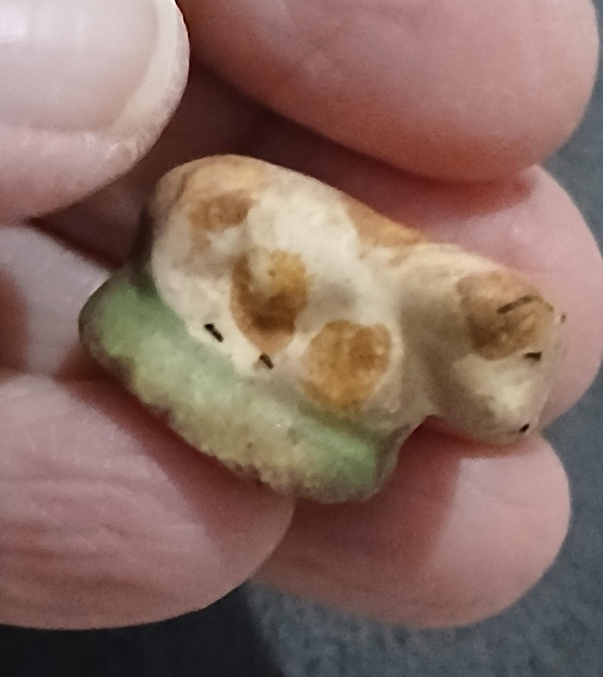 troc de troc une fève image 0