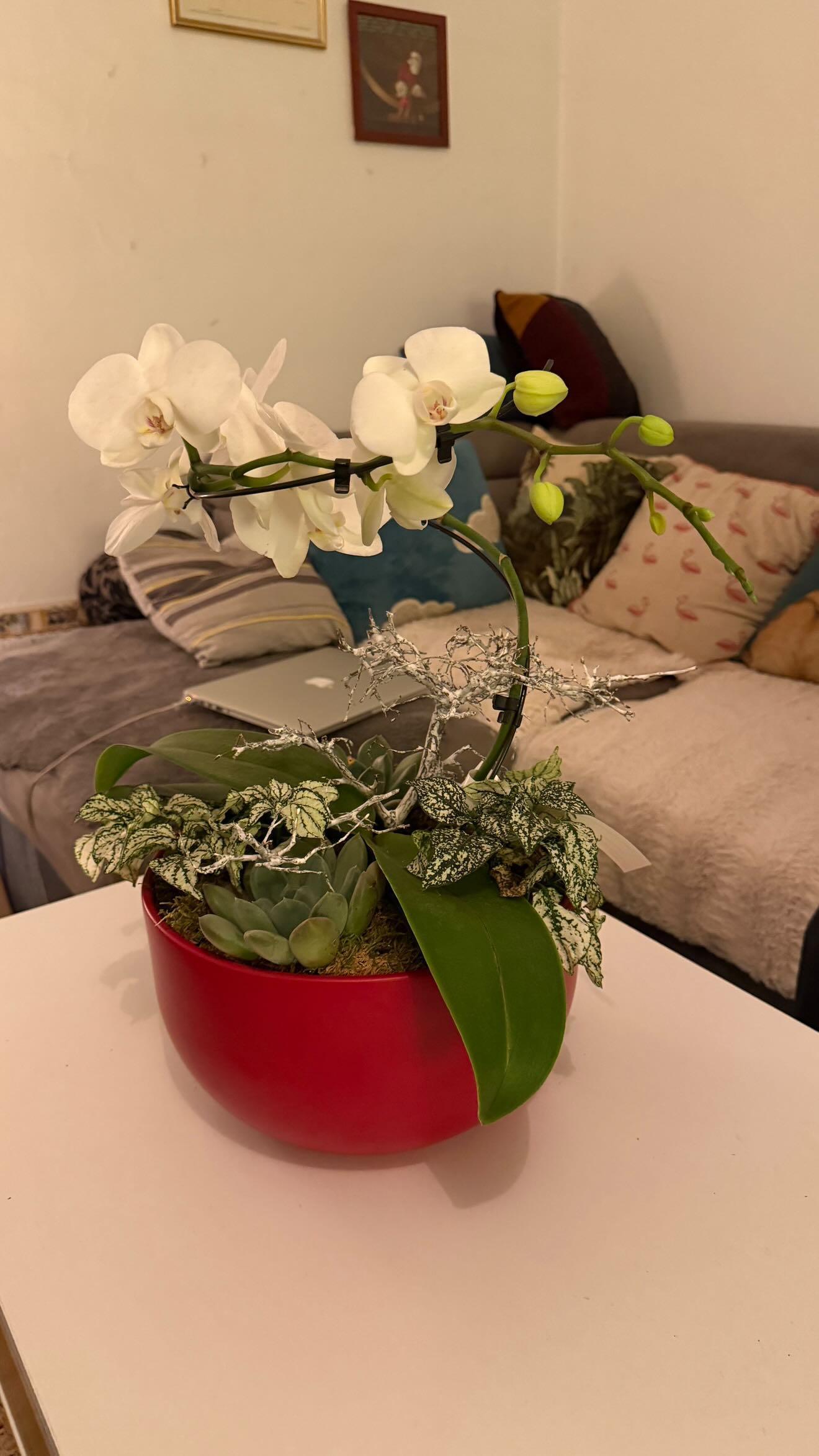 troc de troc grosse composition florale avec vrai orchidée image 0