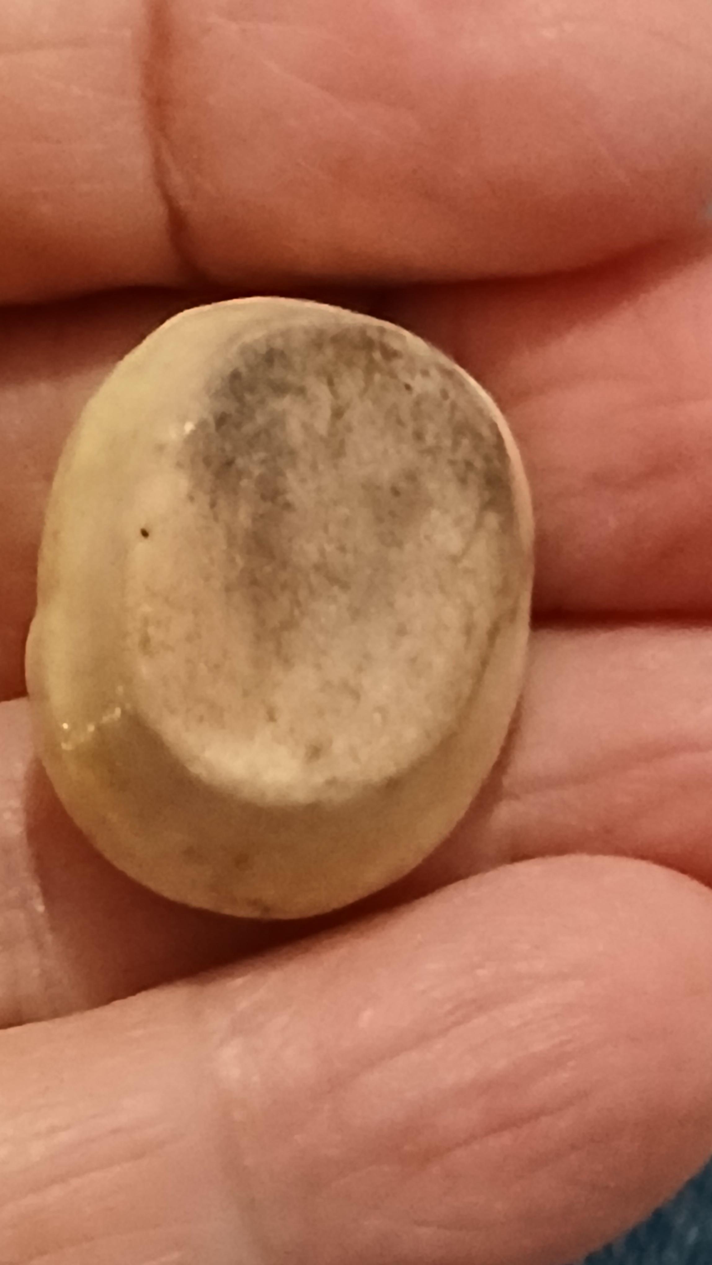 troc de troc reserver fleur une fève image 1