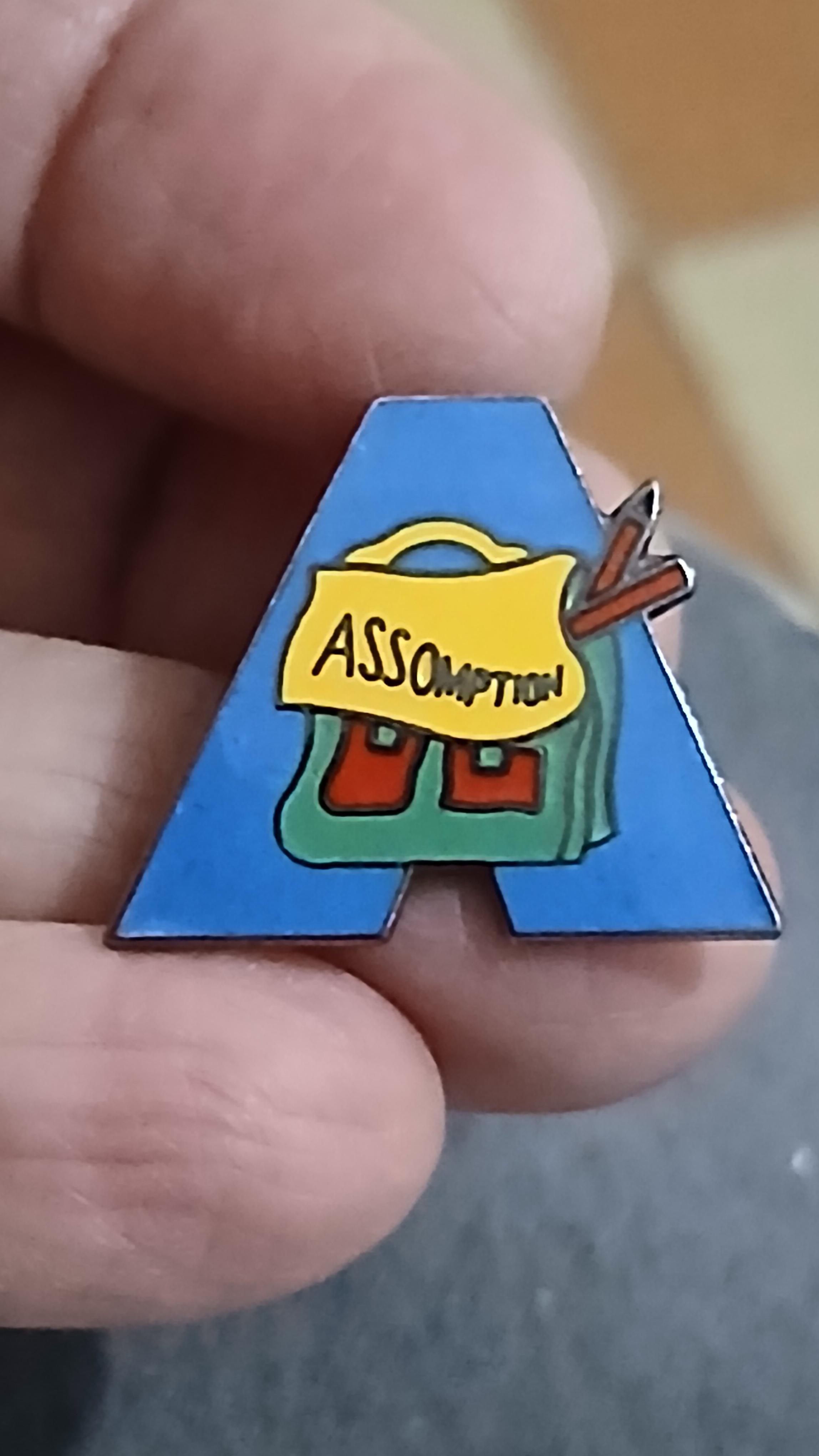 troc de troc un pins image 0