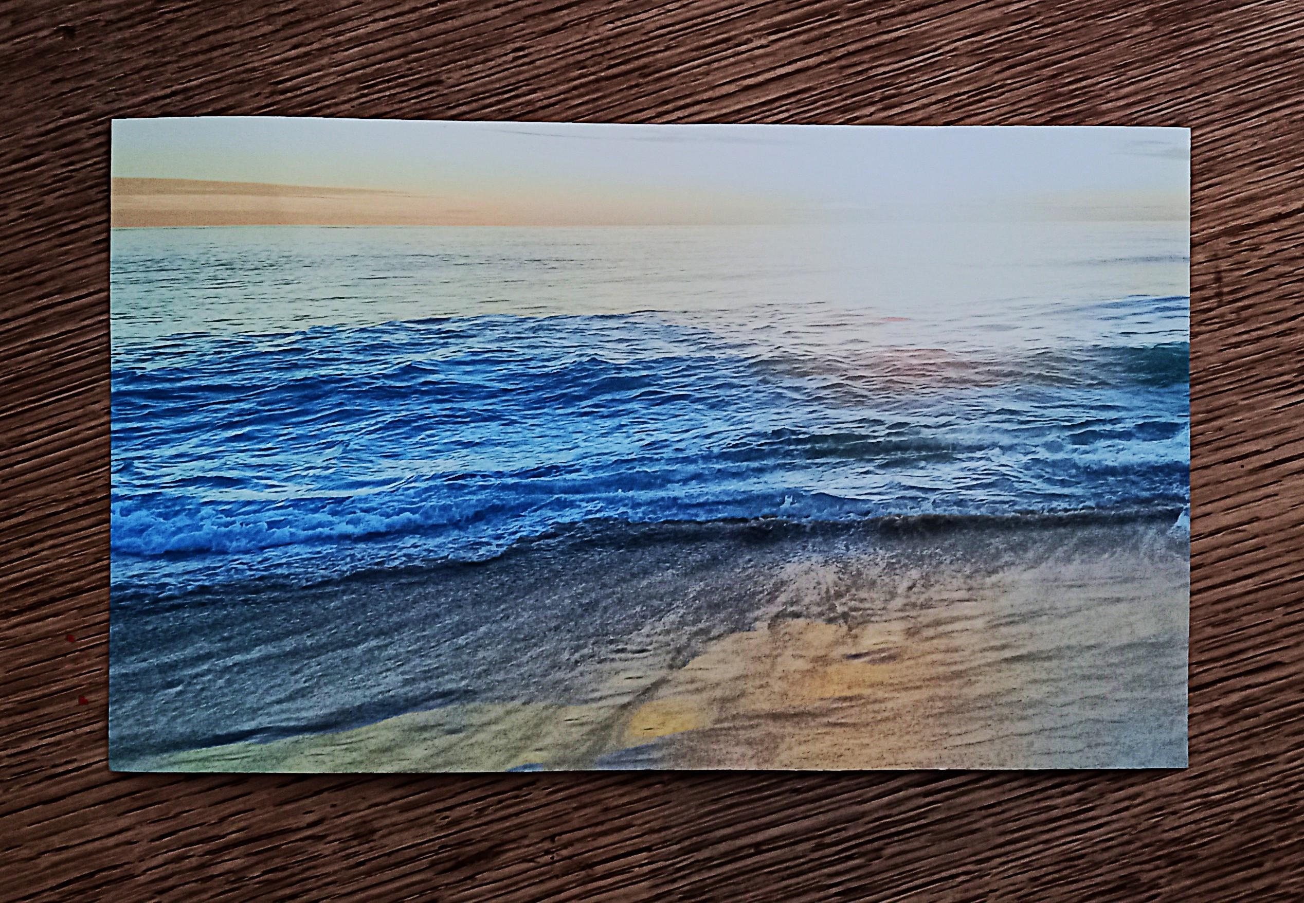 troc de troc grande carte "marguerites dans la mer". image 1