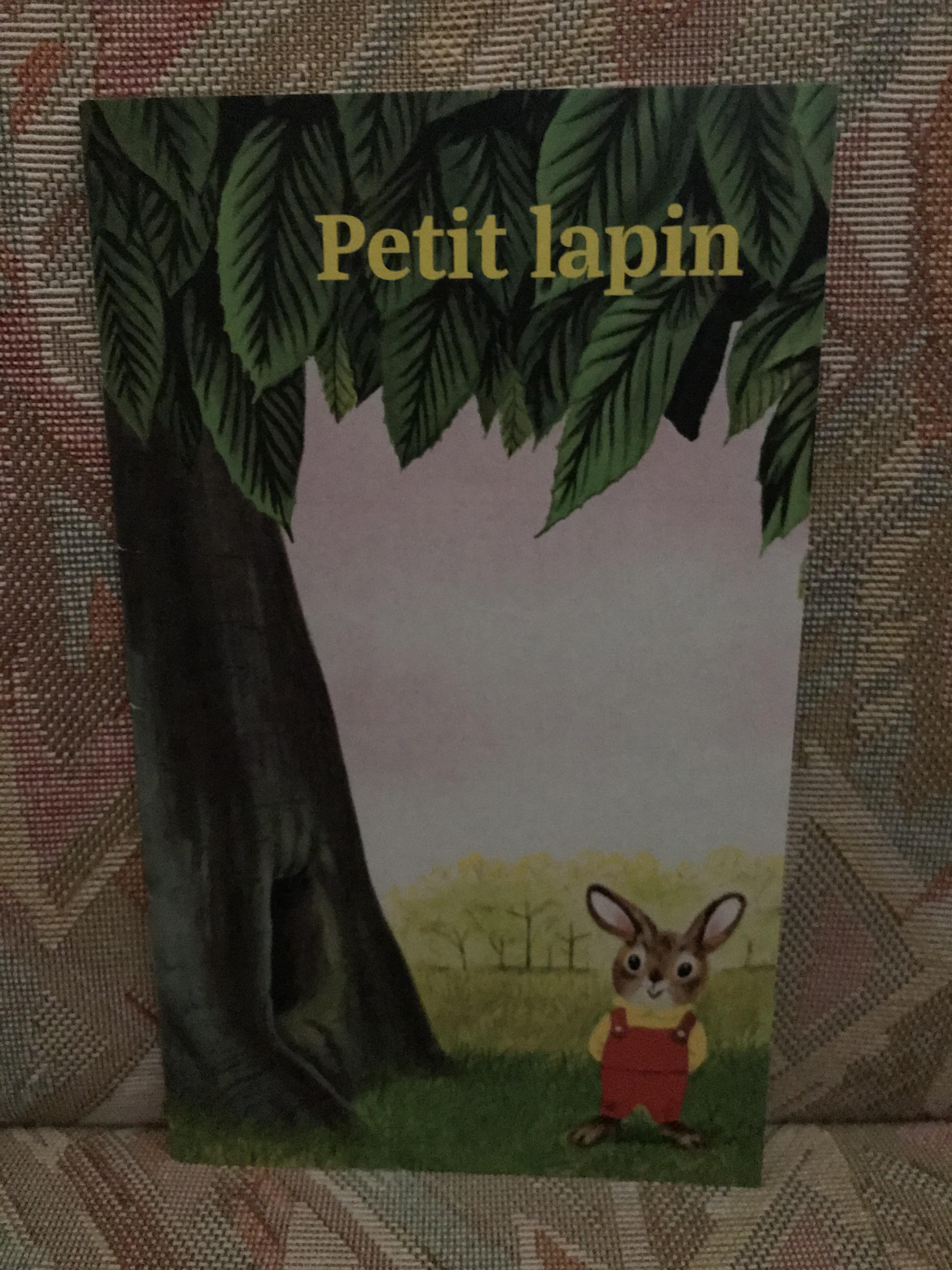 troc de troc réservé /// livre enfant " petit lapin" image 0