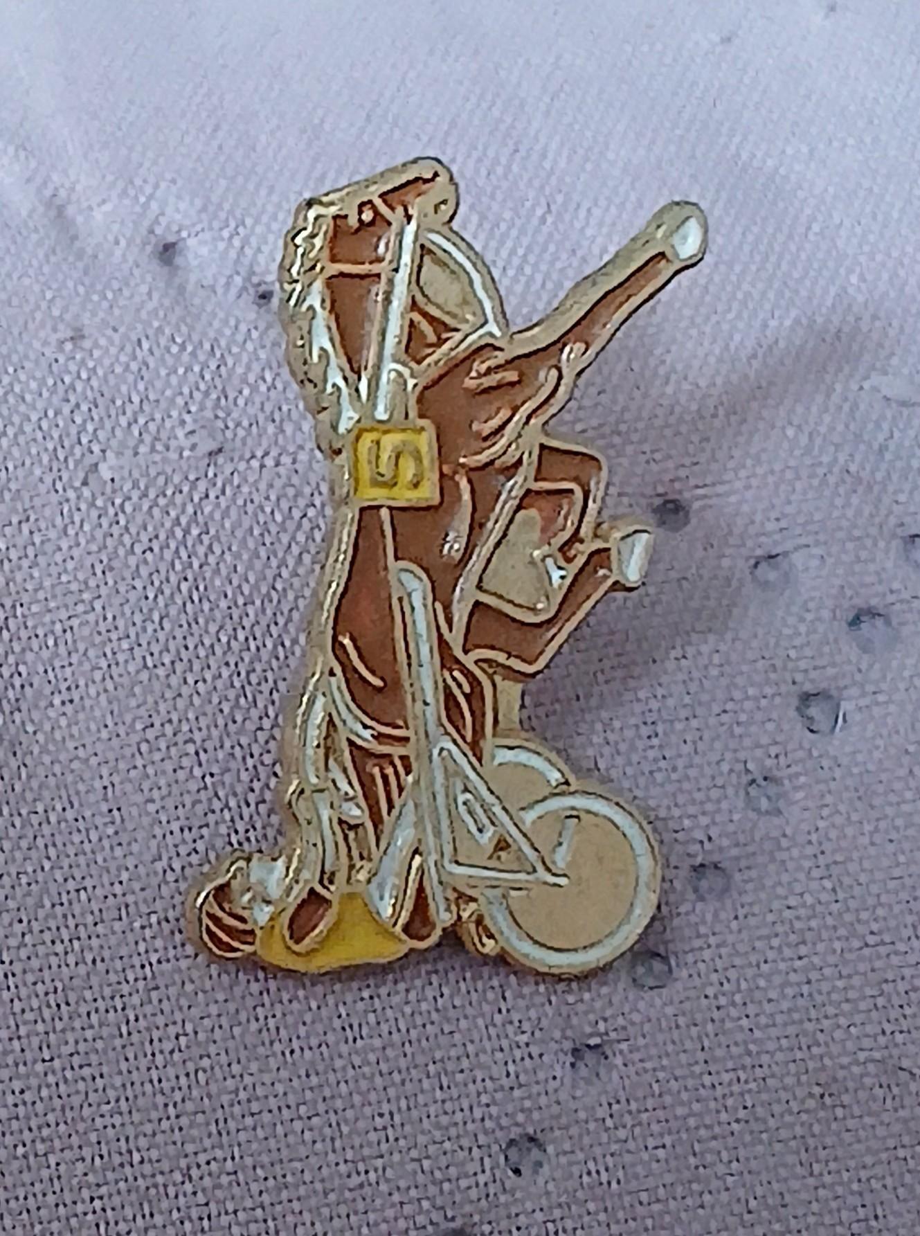 troc de troc reserver. un pins image 1