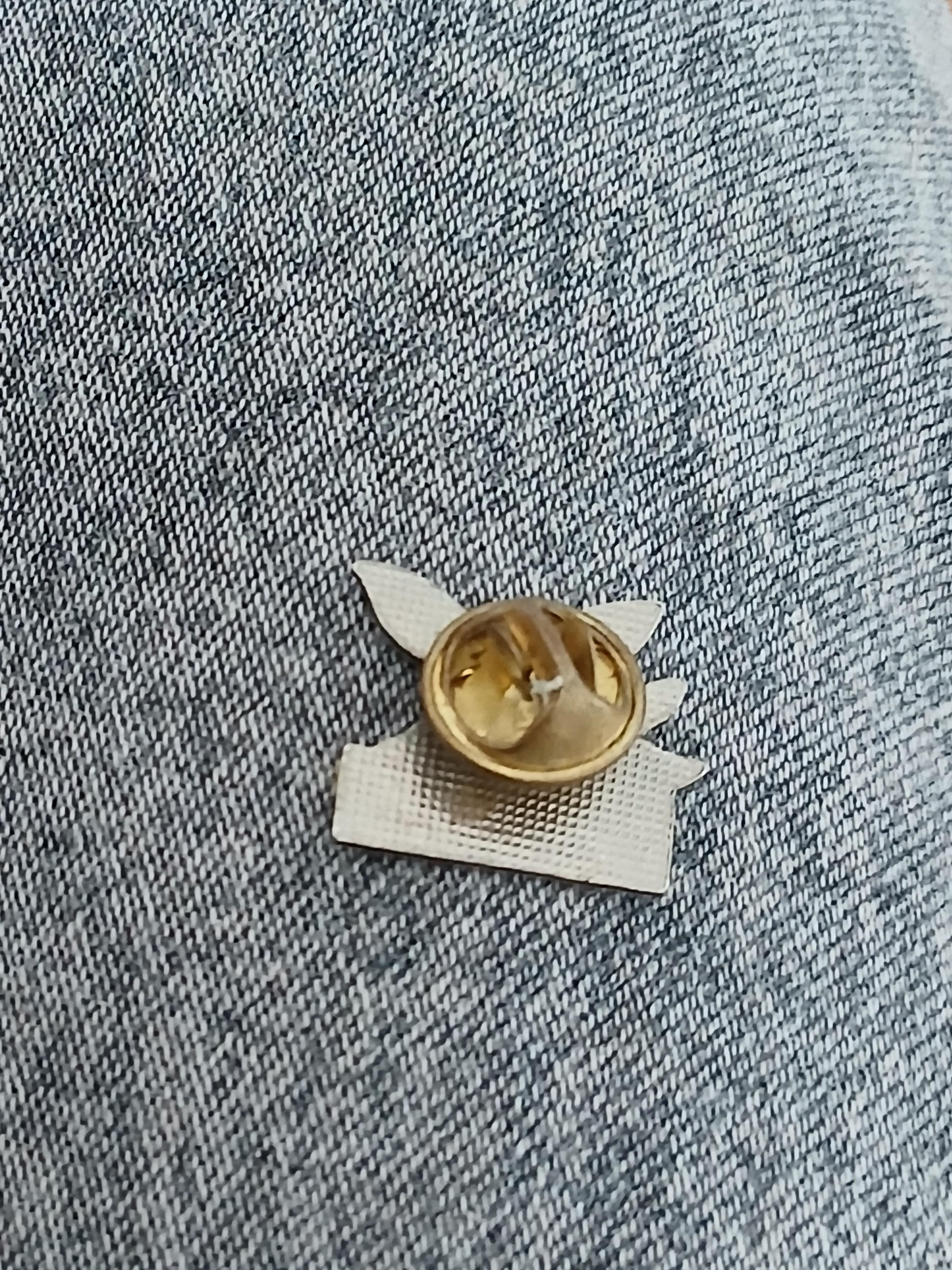 troc de troc un pins image 2