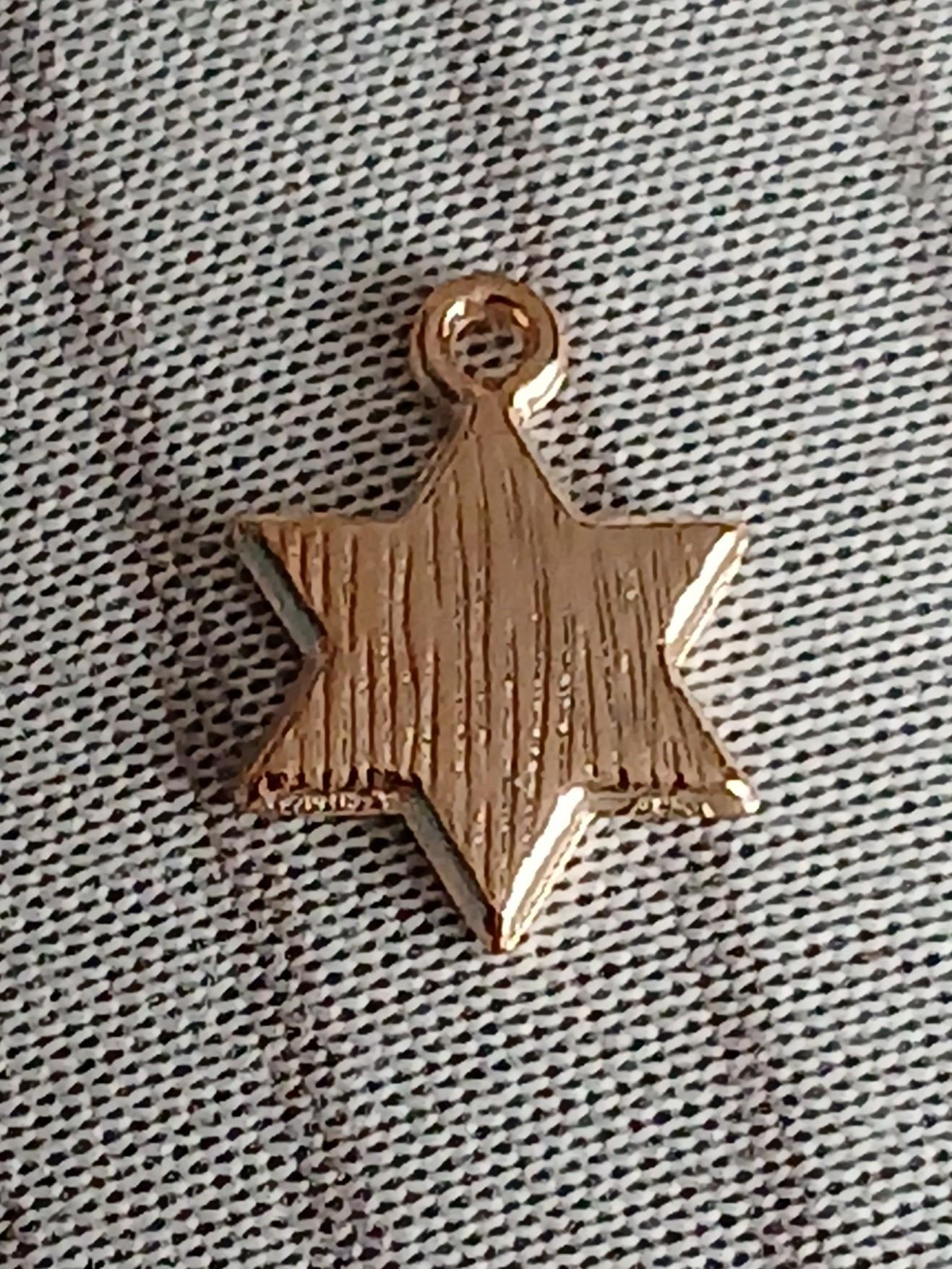 troc de troc reserver sophie un pendentif image 1