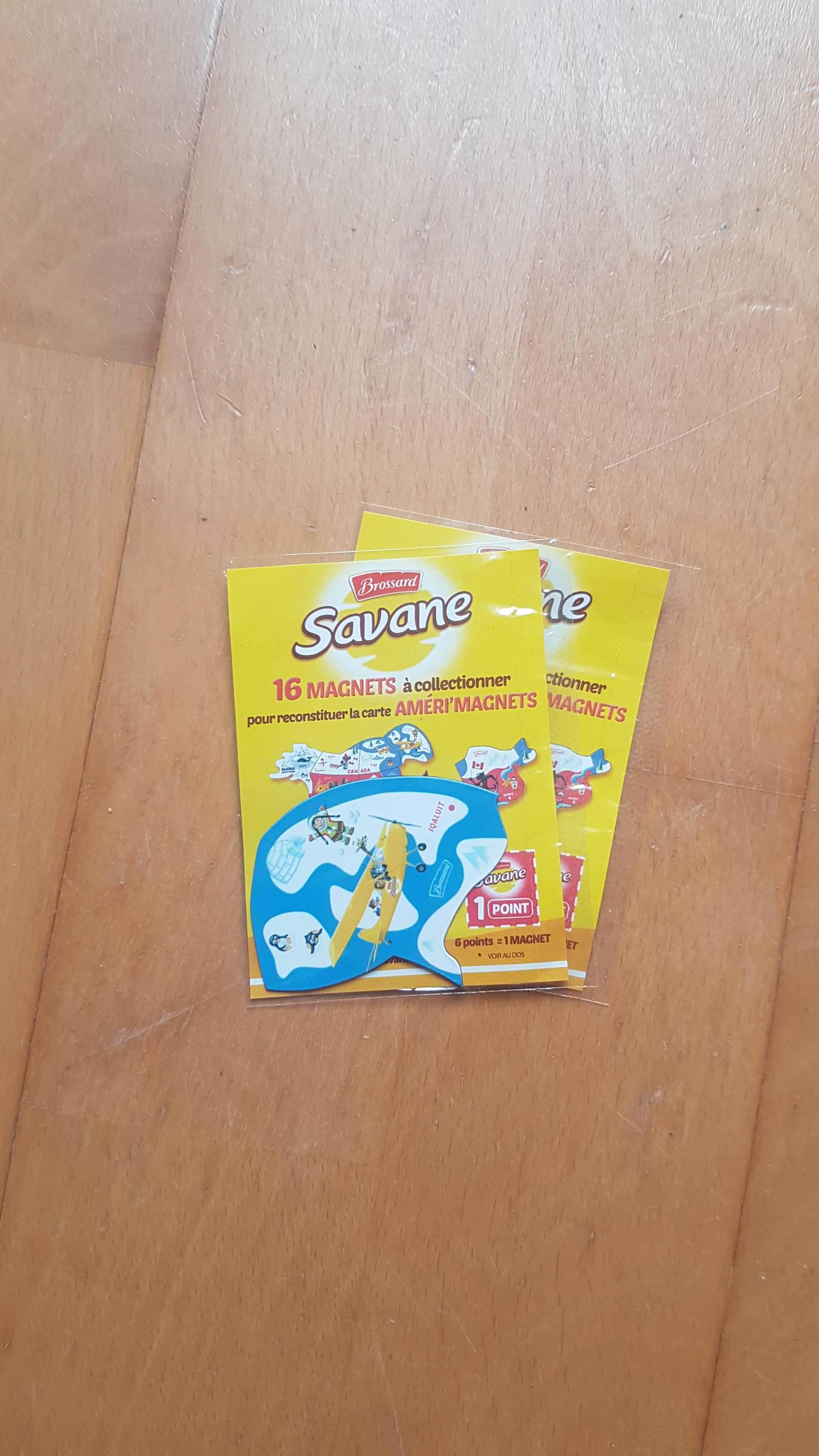 troc de troc ameri'magnets savane image 0
