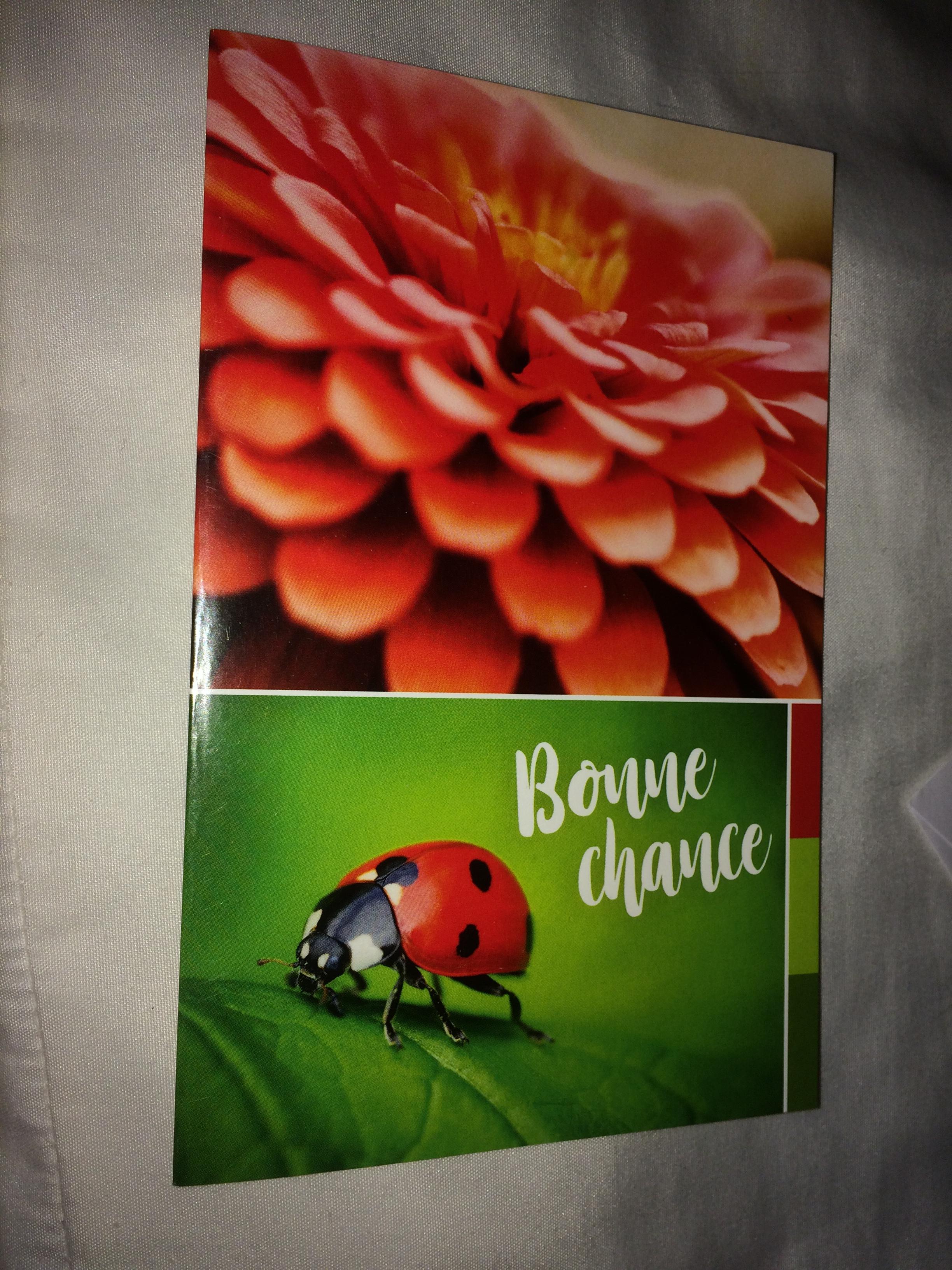 troc de troc carte bonne chance fleur / coccinelle & son enveloppe image 1