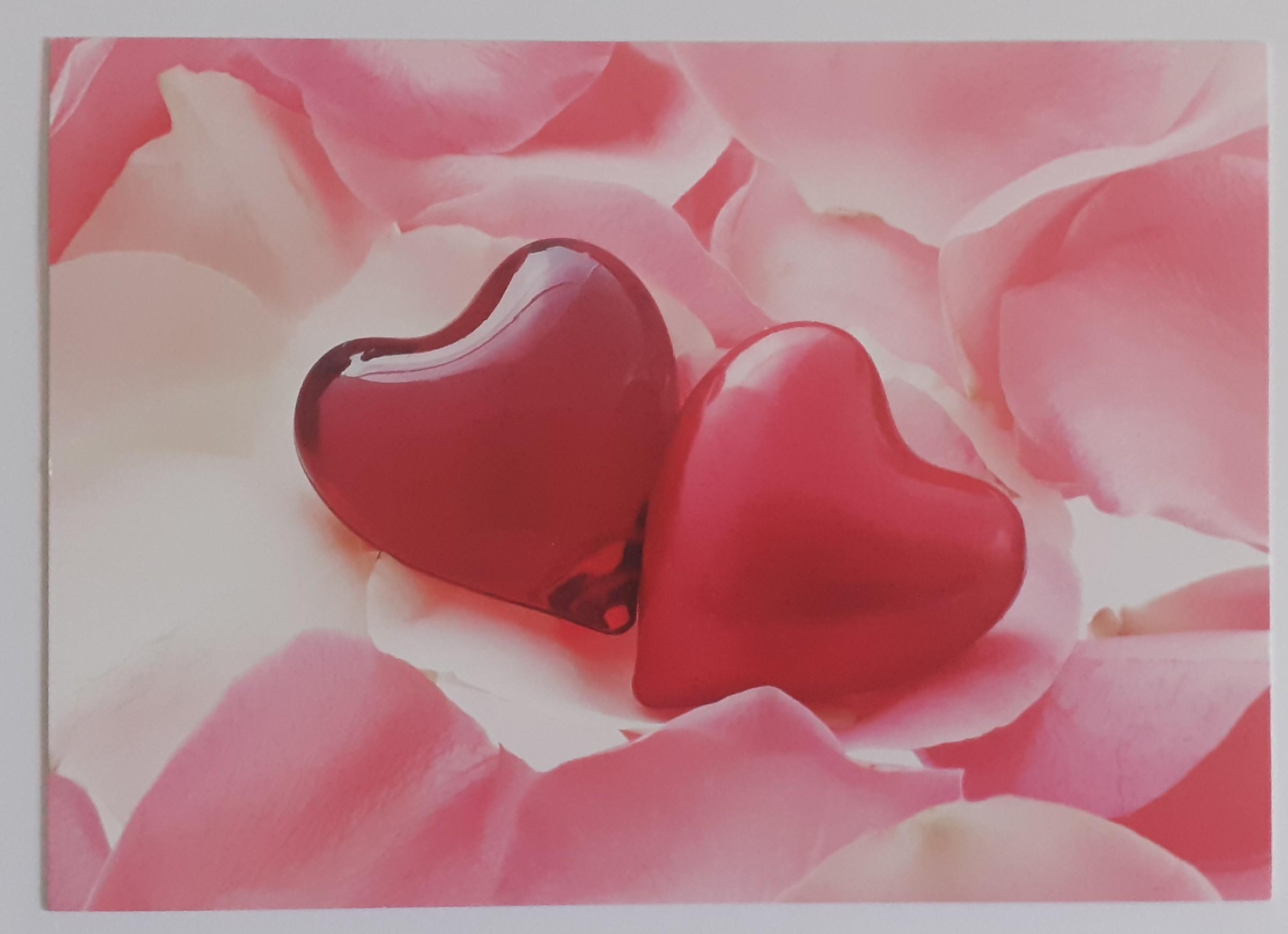 troc de troc reserve ginkgo en attente carte postale amour 7 image 0
