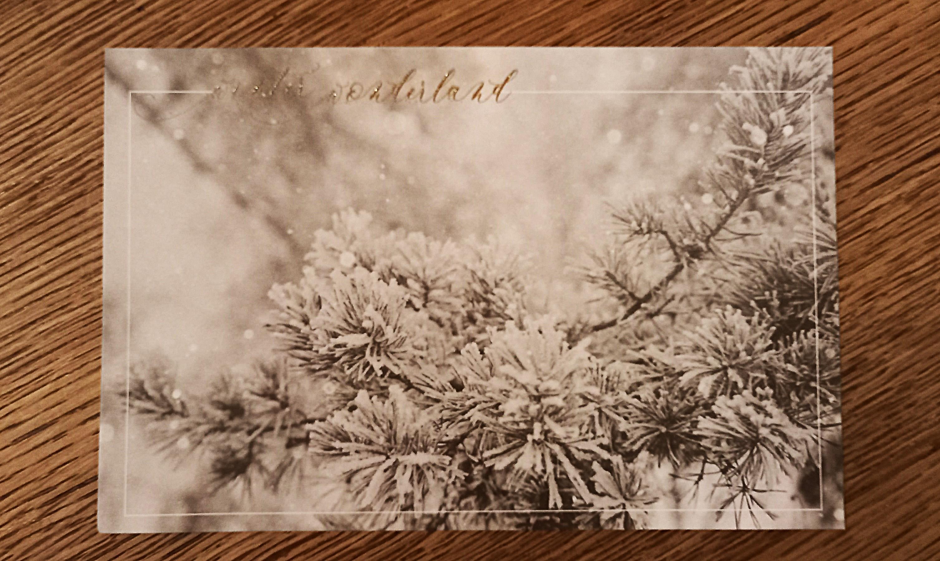 troc de troc carte "winter wonderland". image 0