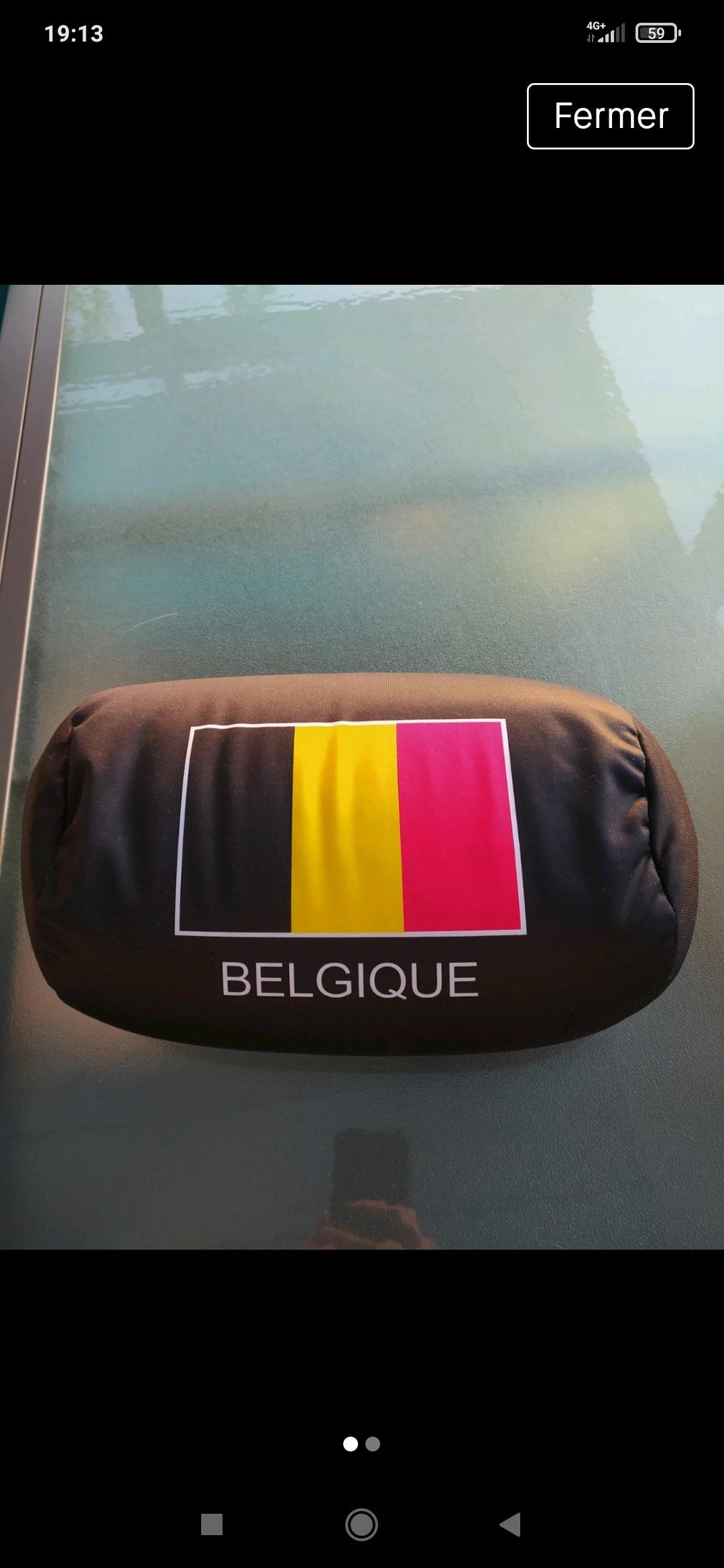 troc de troc coussin belgique image 0