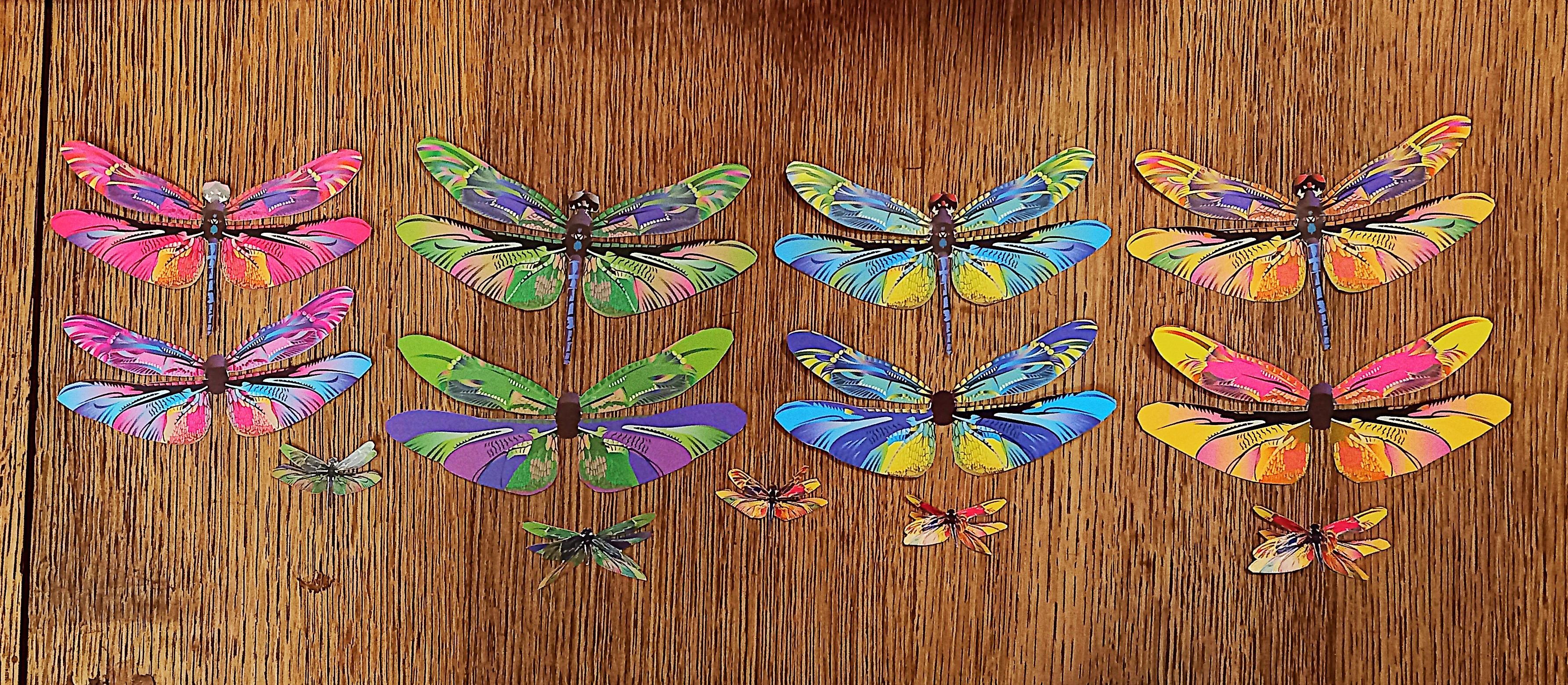 troc de troc 9 libellules. image 0