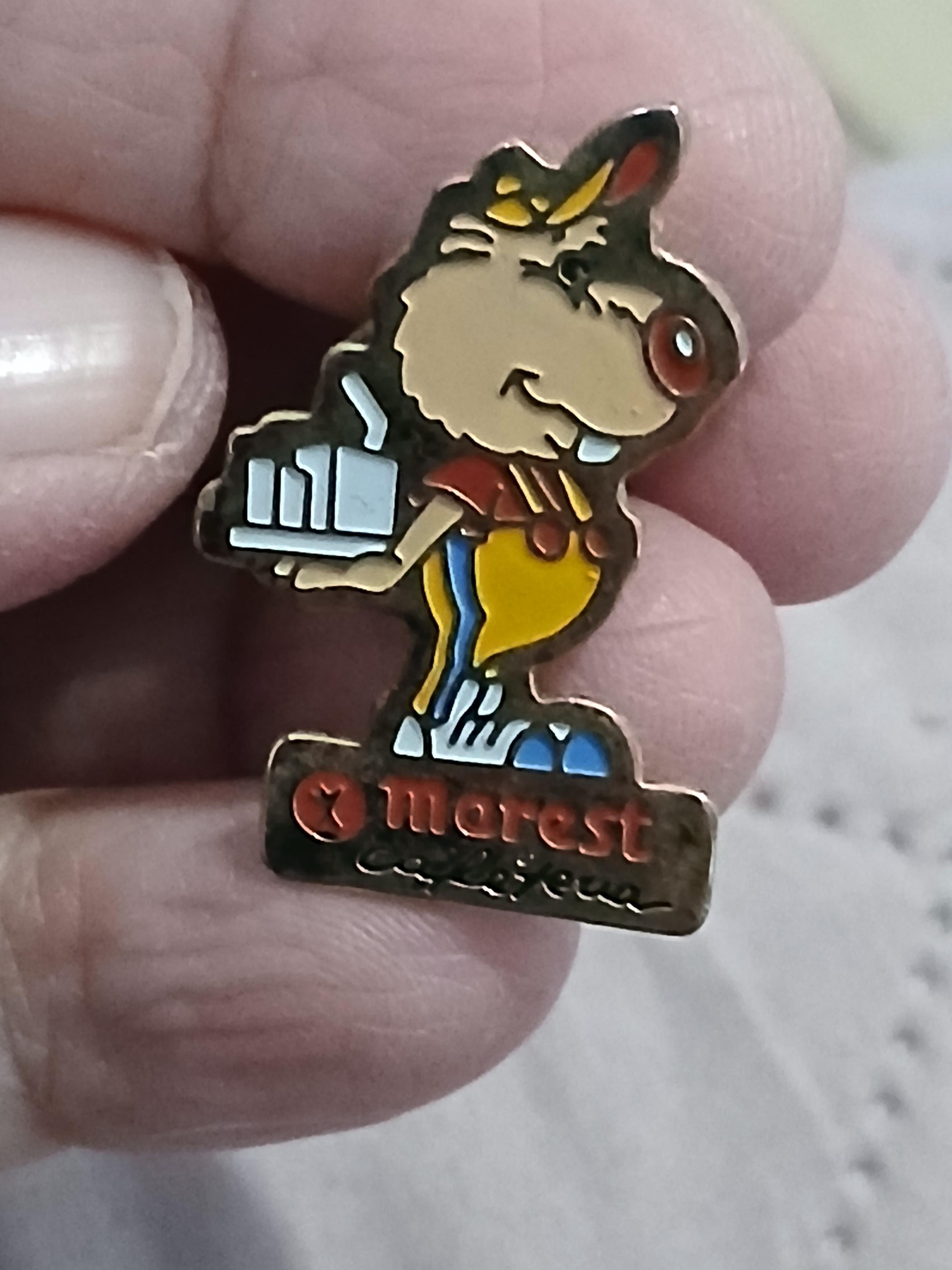 troc de troc un pins image 1
